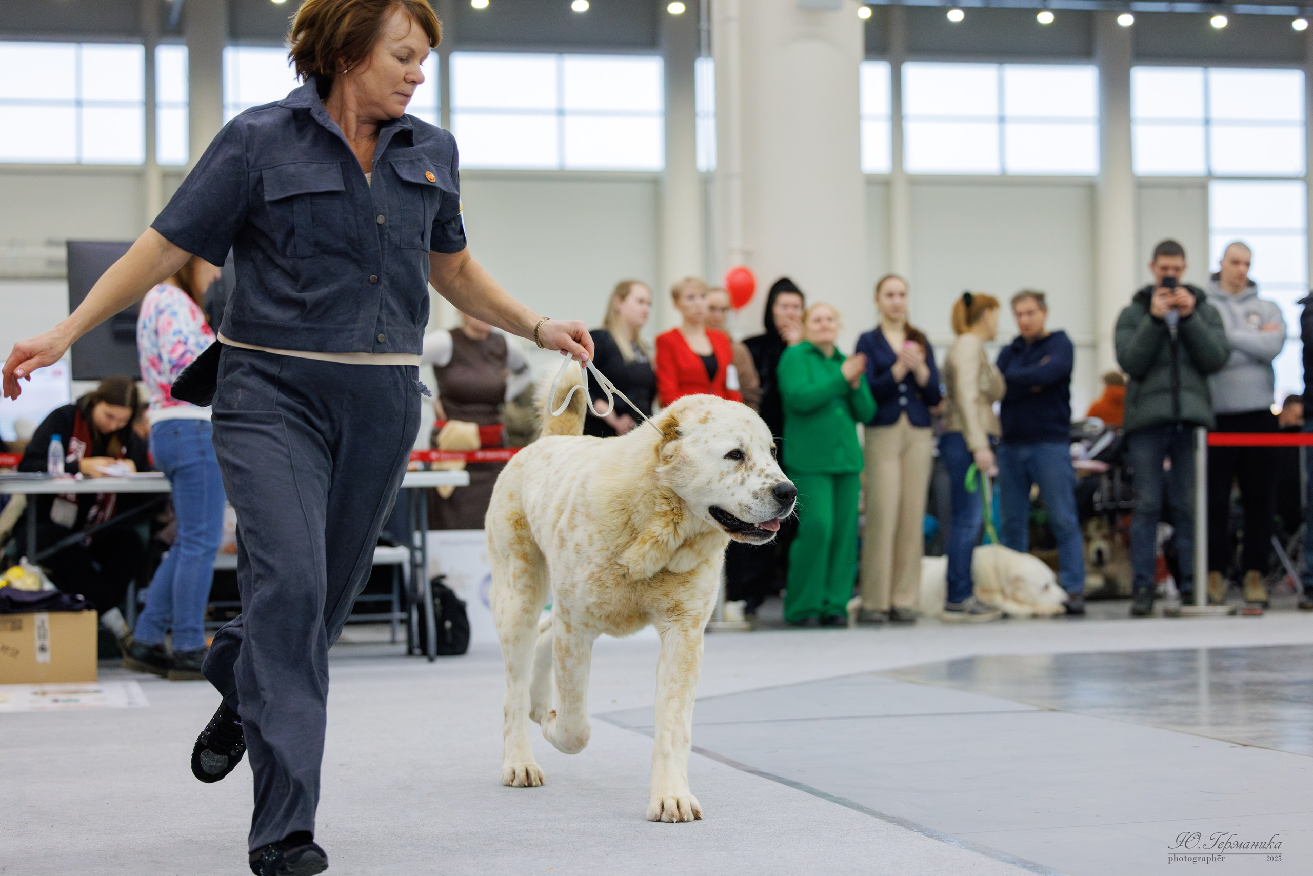 Сабанеевка Казань 25-26.01.2025. Фотограф-анималист Юлия Германика