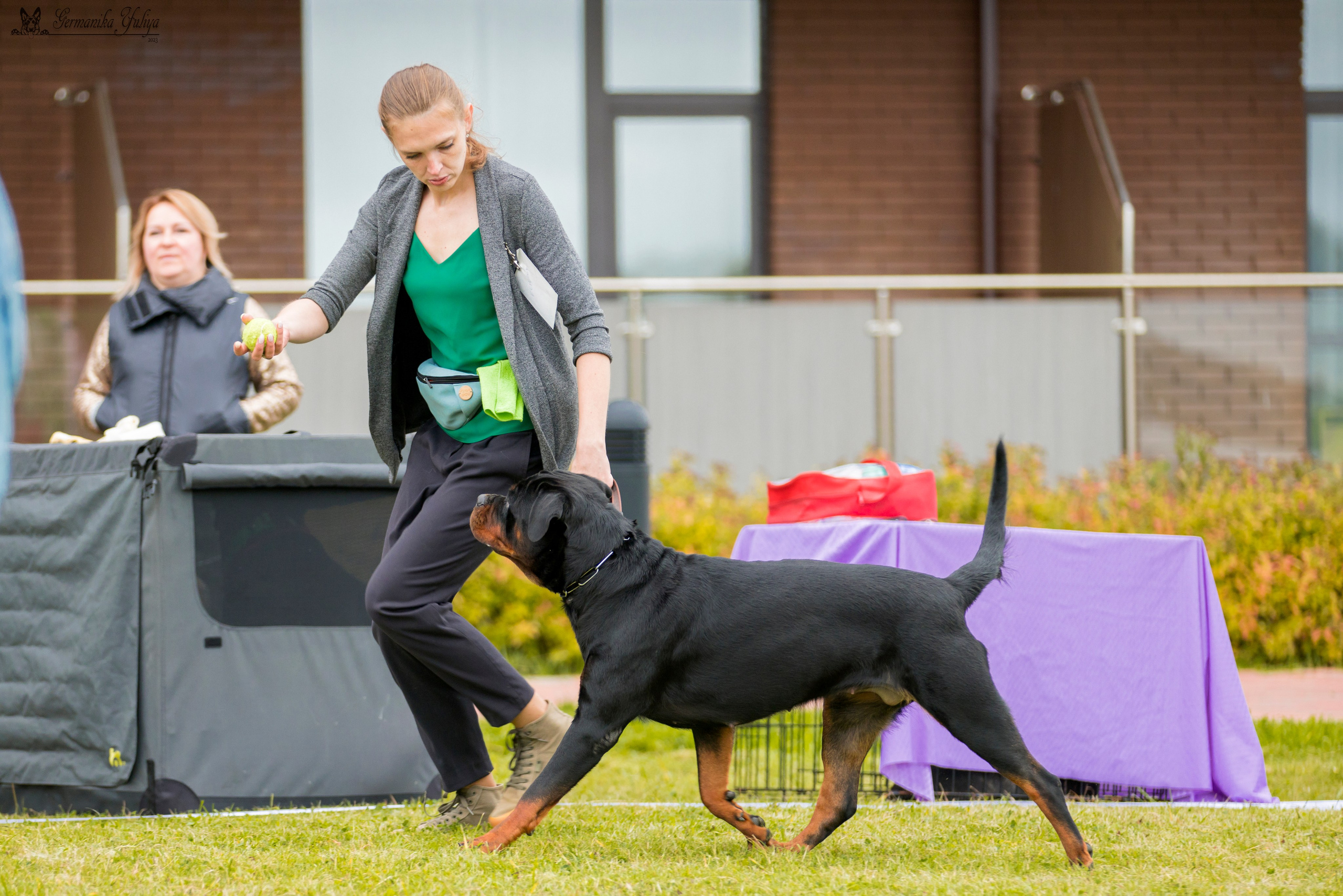 Переславль 9-10.09.2023. Фотограф-анималист Юлия Германика