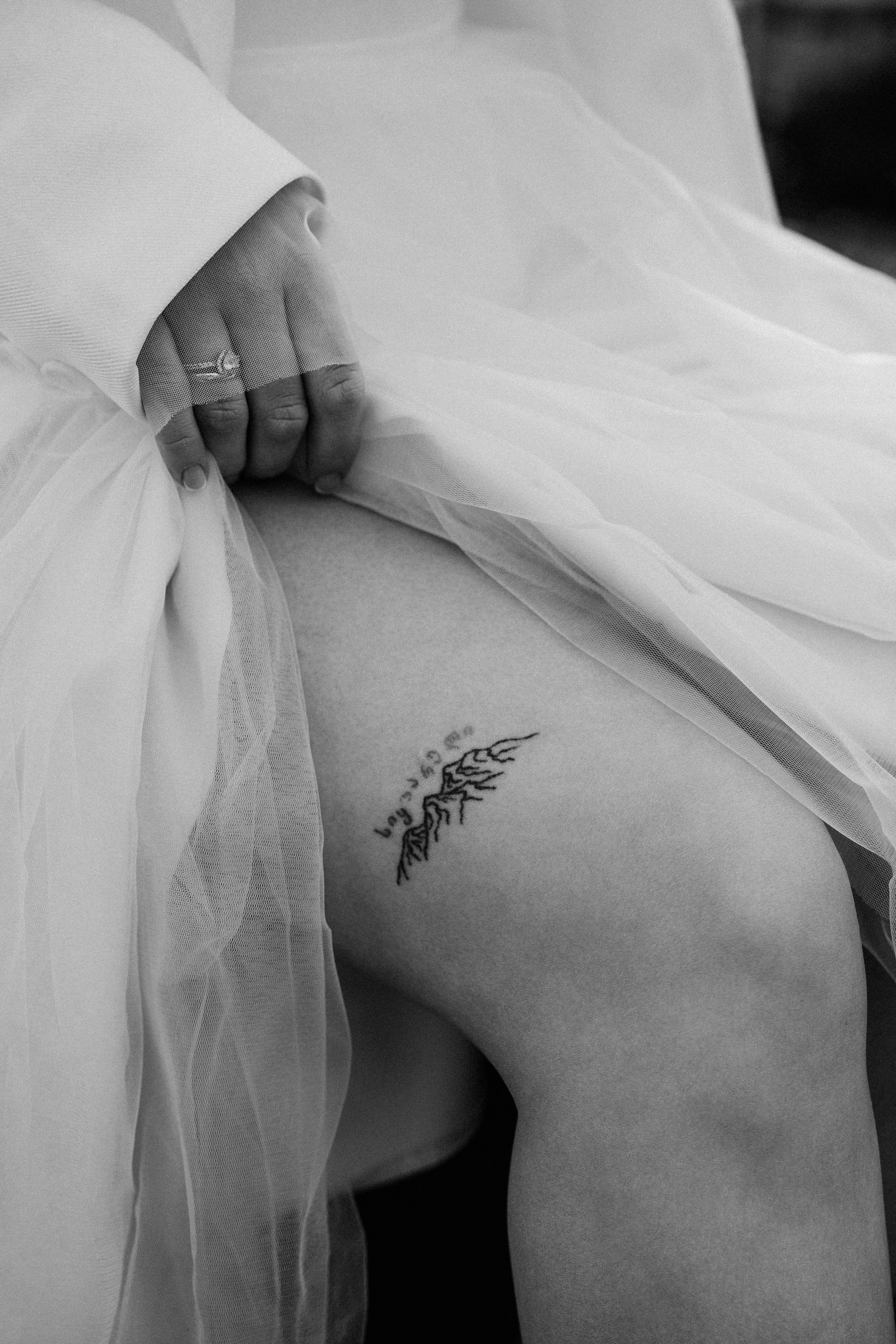 Пушистый свидетель