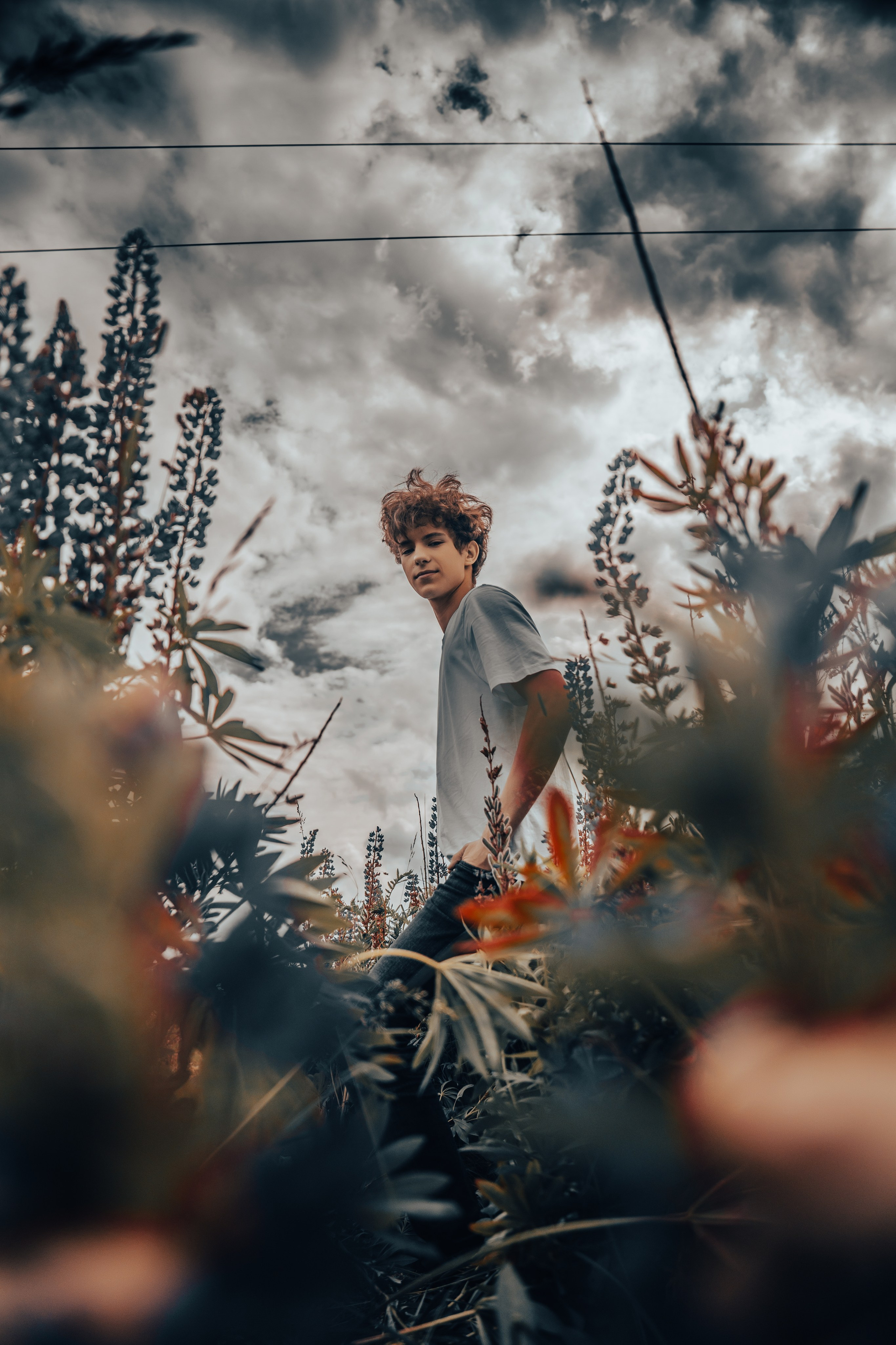 Фотосессия в поле. ТриМедиа Продакшн