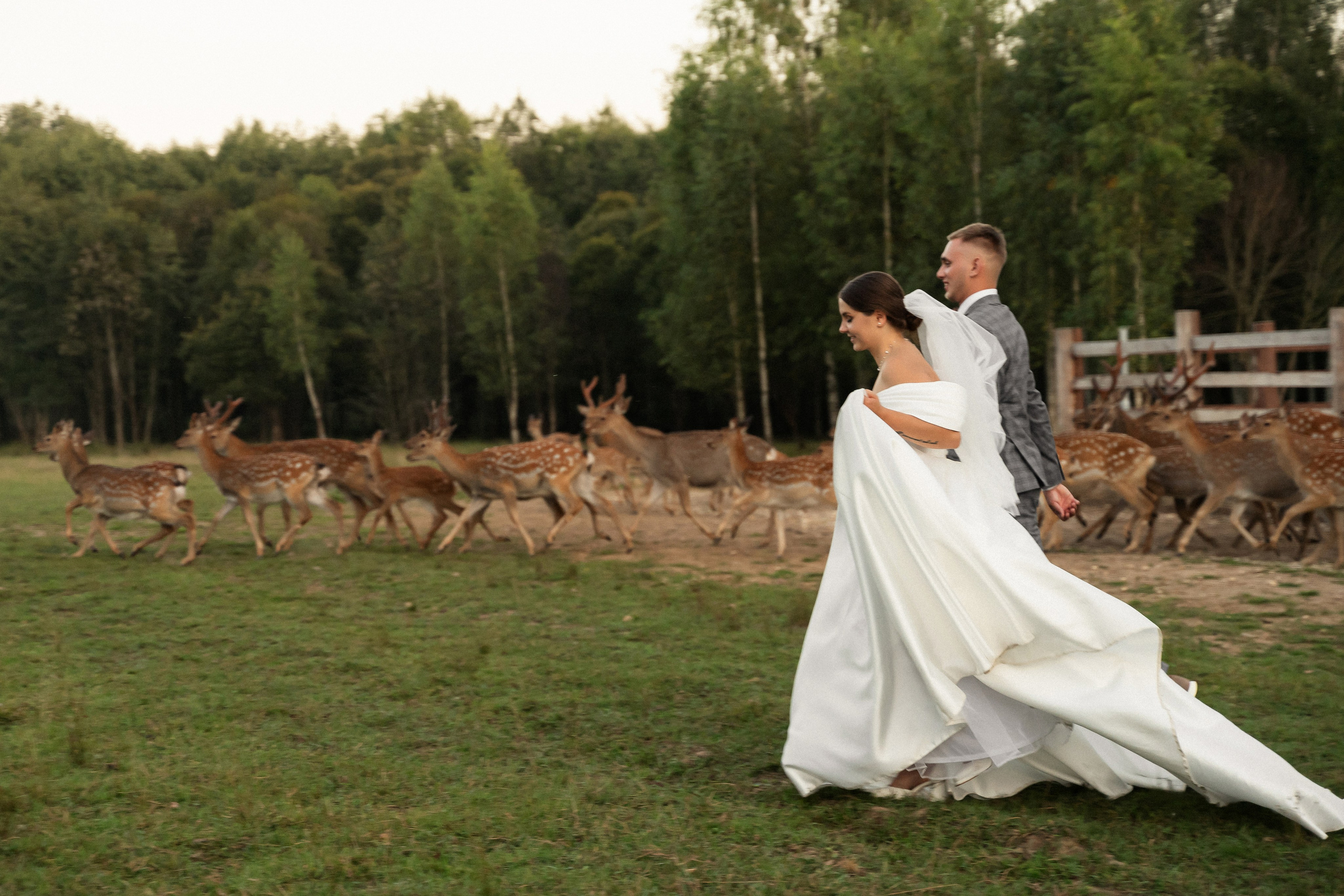 Алина и Сергей. Фотограф Алина Филимонова Тверь