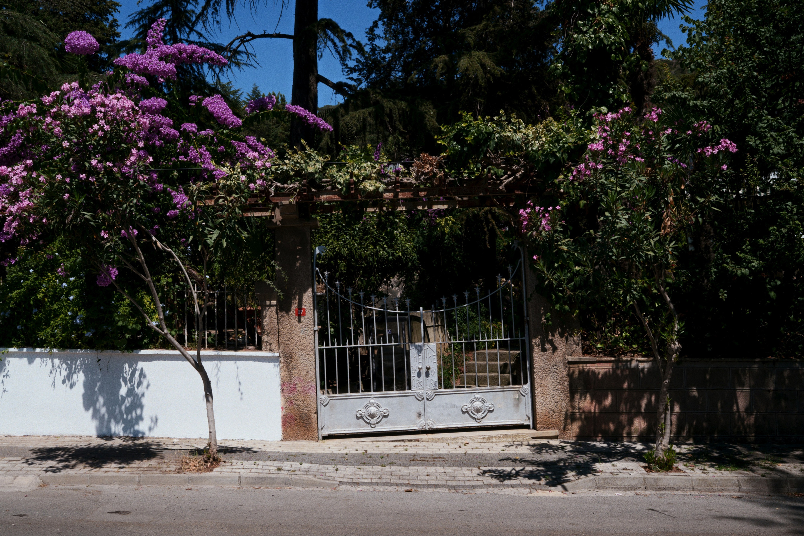 Büyükada х Heybeliada, Istanbul / Türkey SS25. Фотограф Юрин Евгений