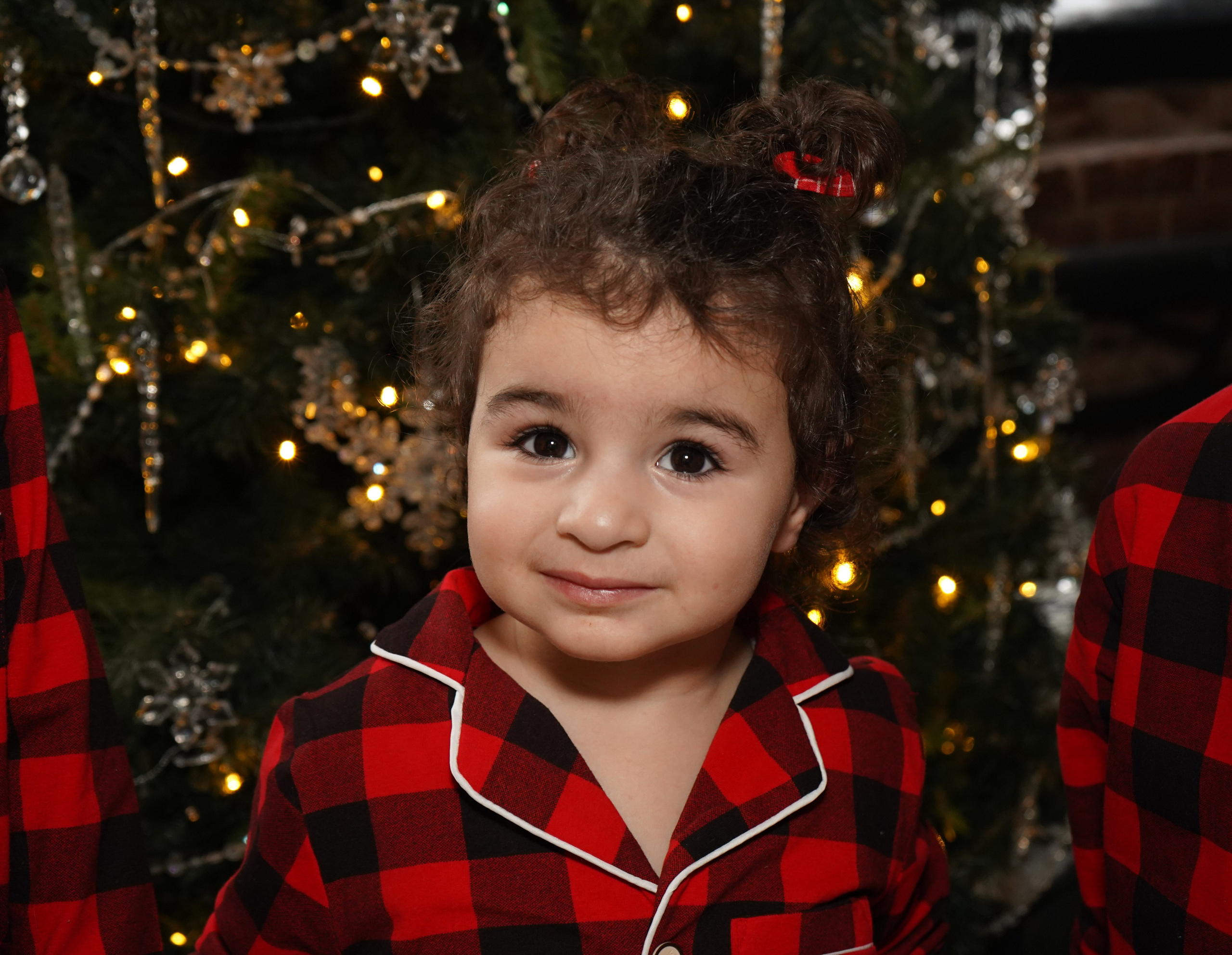 Новогодняя фотосессия. Главная