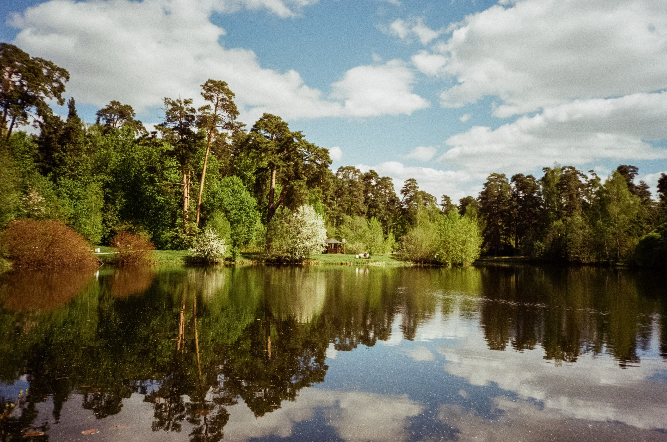 Ricoh R1 | Kodak ProImage 100 | 6 мая 2025 года СерБор