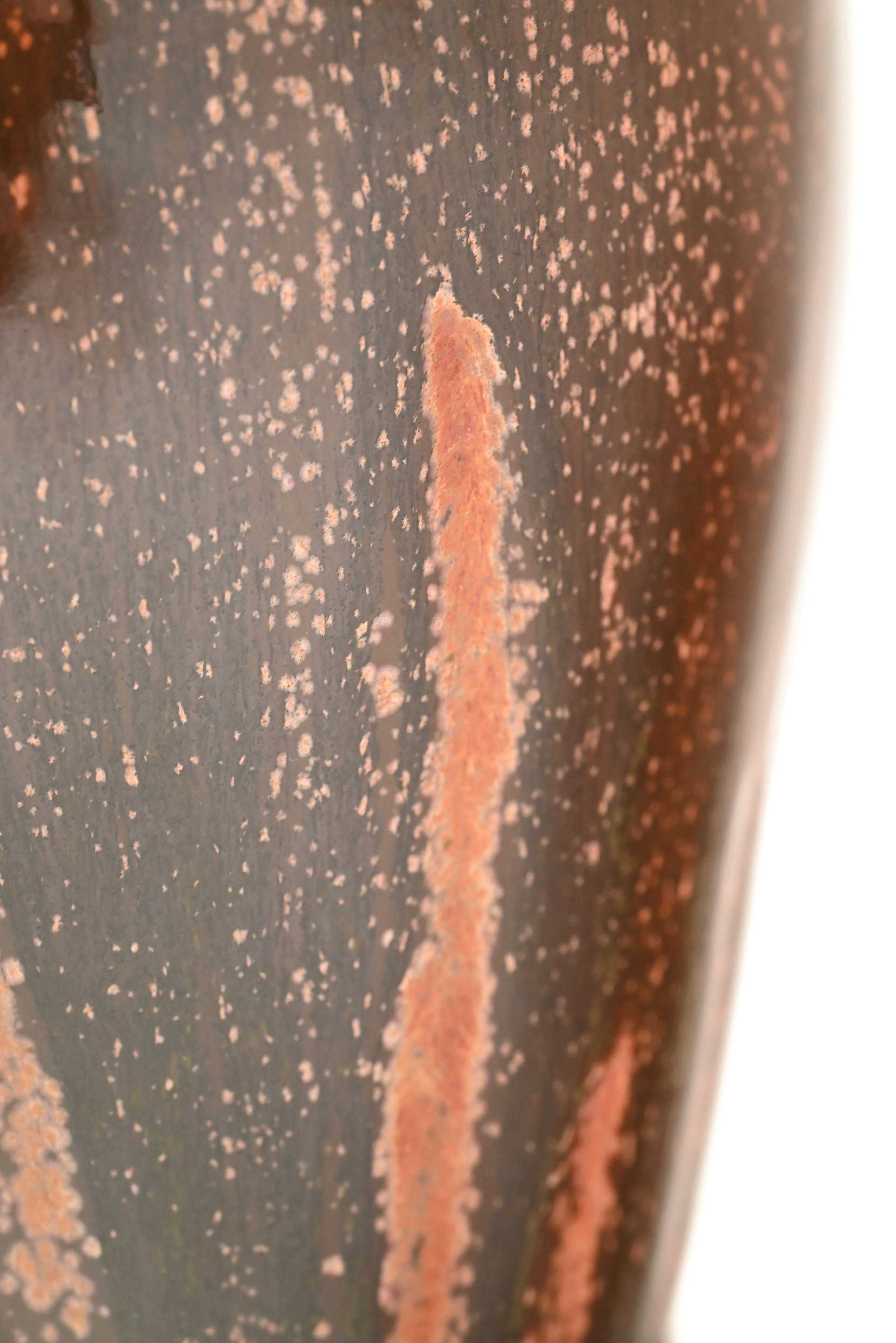 Петрикор. Артур Бахтин