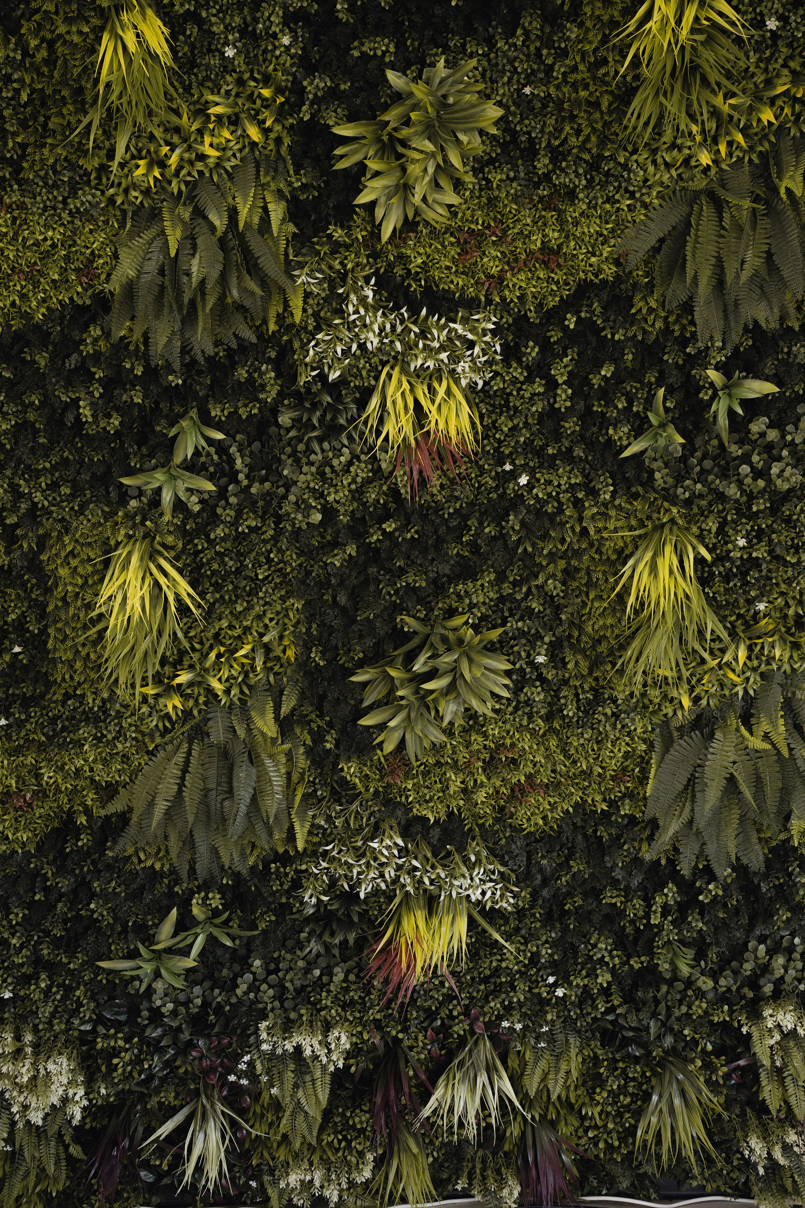 Никах| 19.07.2025. Главная