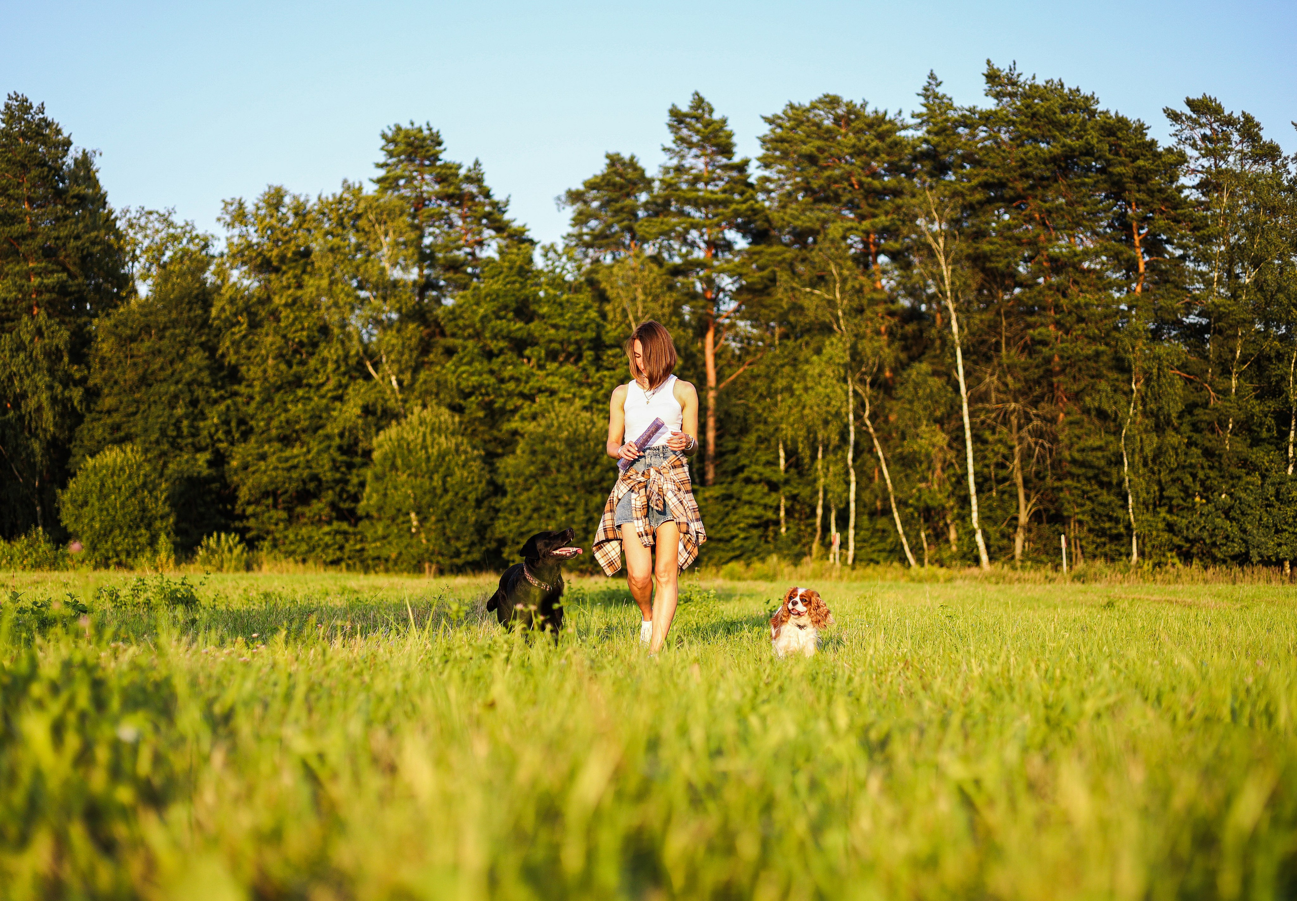 Бонни, Лея и Лера. Фотограф-анималист Ксения Шевцова|Москва