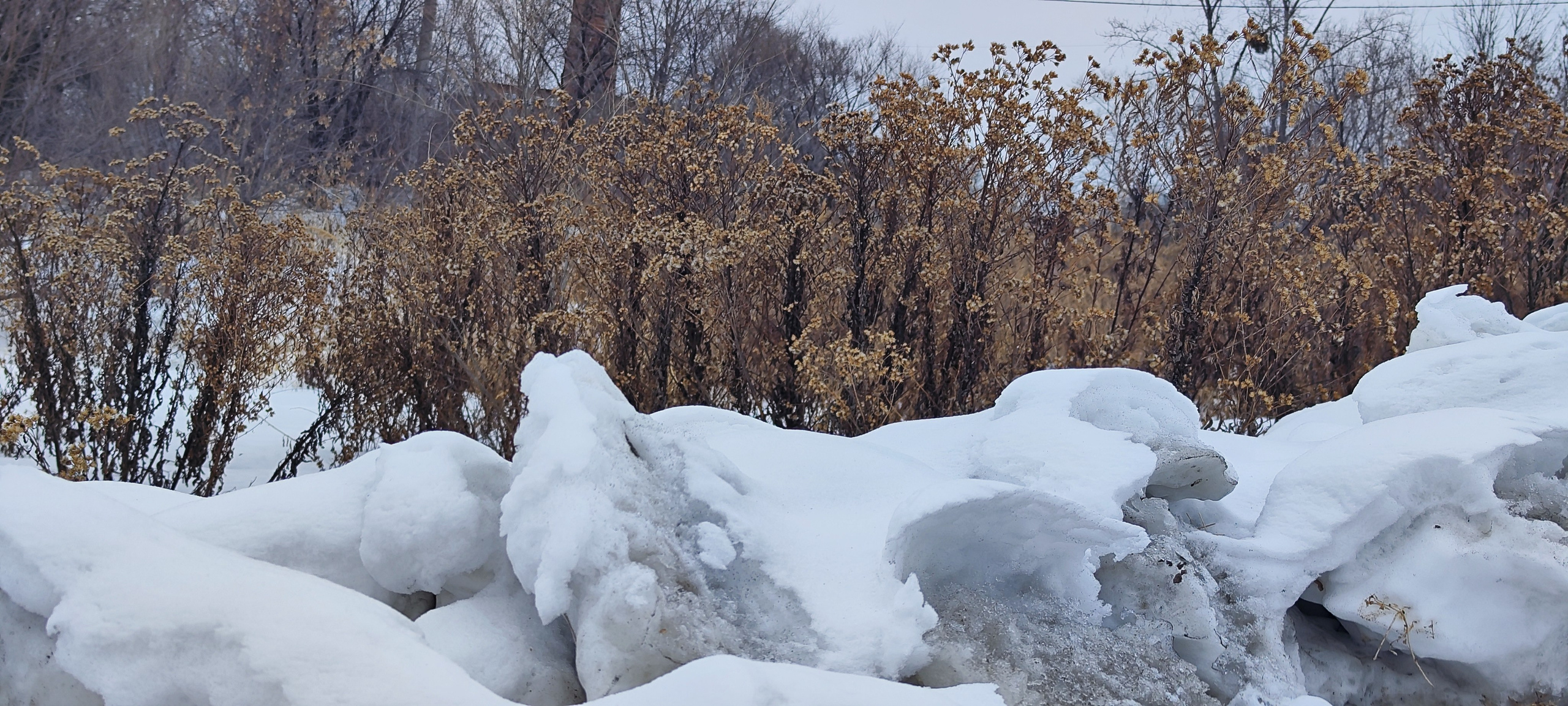 дачи, город, архитектура, стрит, репортажная фотография, фотография, Хабаровск, фотосессия, фотограф, дом, новостройка, улицы, жизнь города, town, art, photo, photographer, photo, Khabarovsk, Far East, street photo, природа, Дальний Восток, тайга, цветы, закат, небо, облака, nature, clouds, forest, flower, sunset