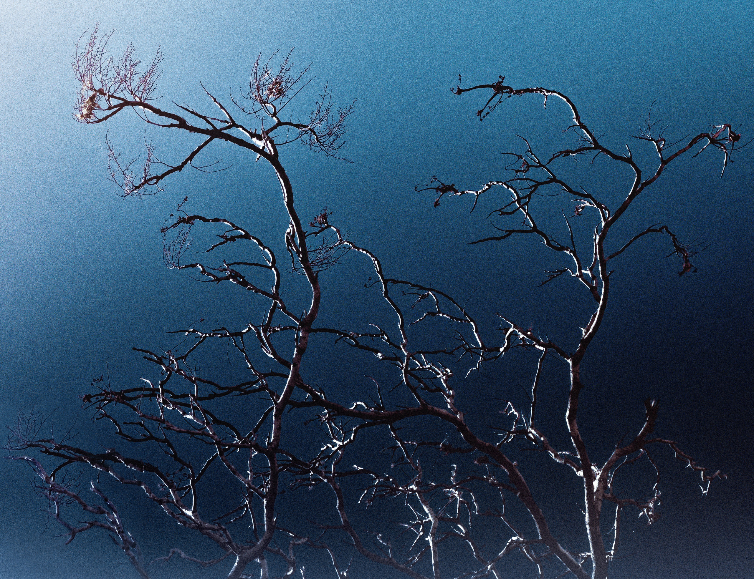 Работы вне серий — Сафонов Владислав. Сафонов Владислав, фотохудожник