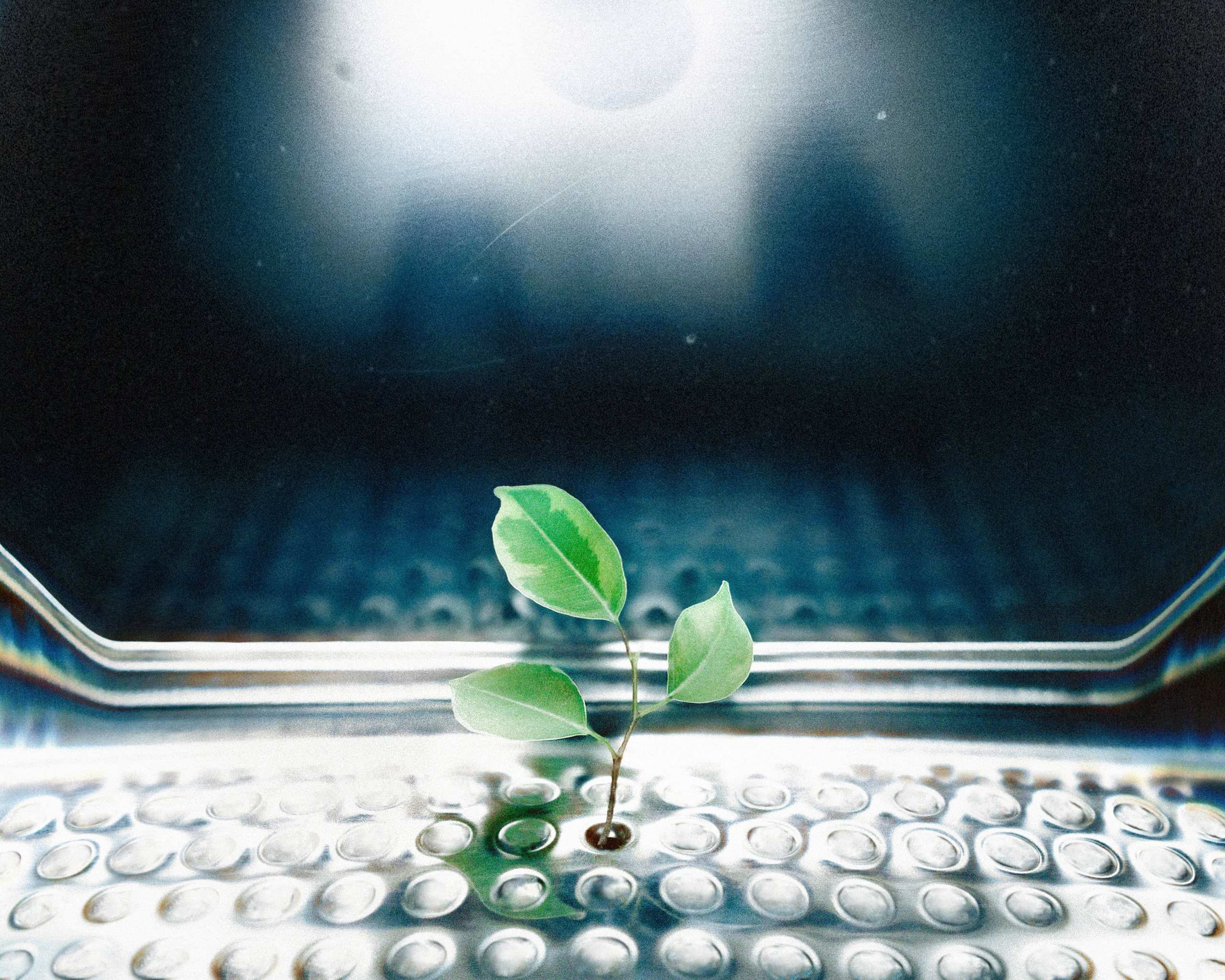 Работы вне серий — Сафонов Владислав. Сафонов Владислав, фотохудожник