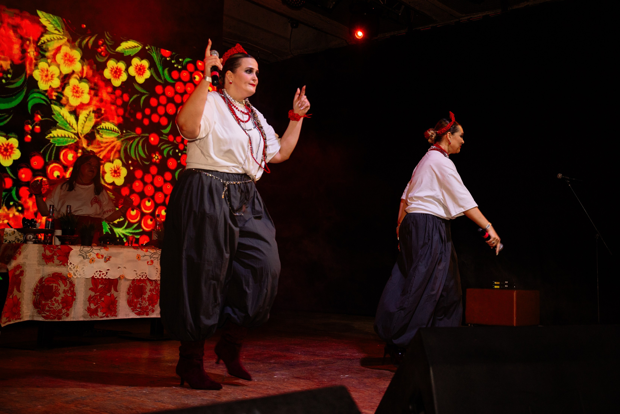 Концерт «Версия Народная». Фотограф Юлия Мальцева