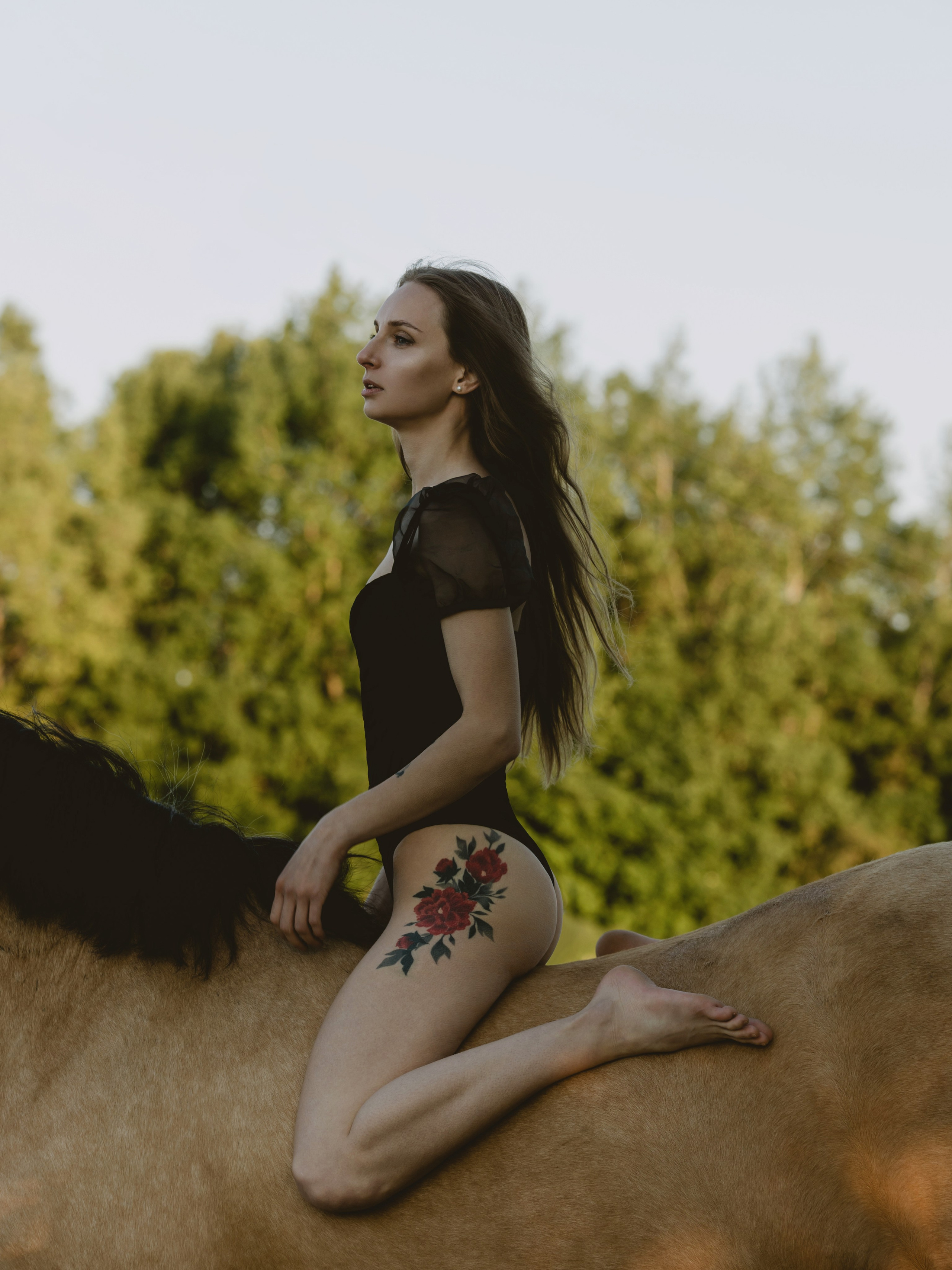 Индивидуальные фотосессии с лошадьми. Конный фотограф в Калининграде Елена Курбатова