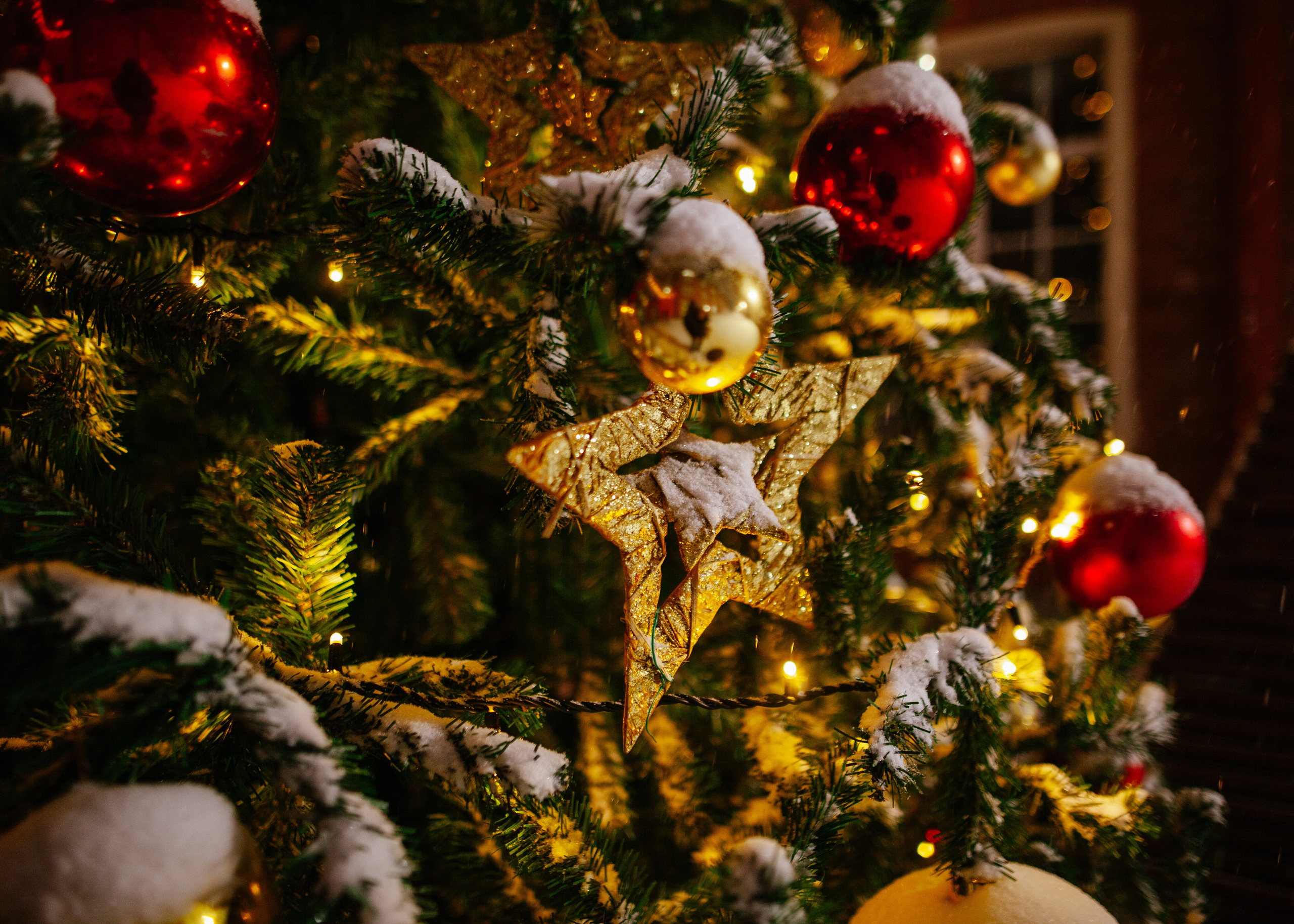 Мероприятия. Фотограф и видеограф Даня Хазигалиев