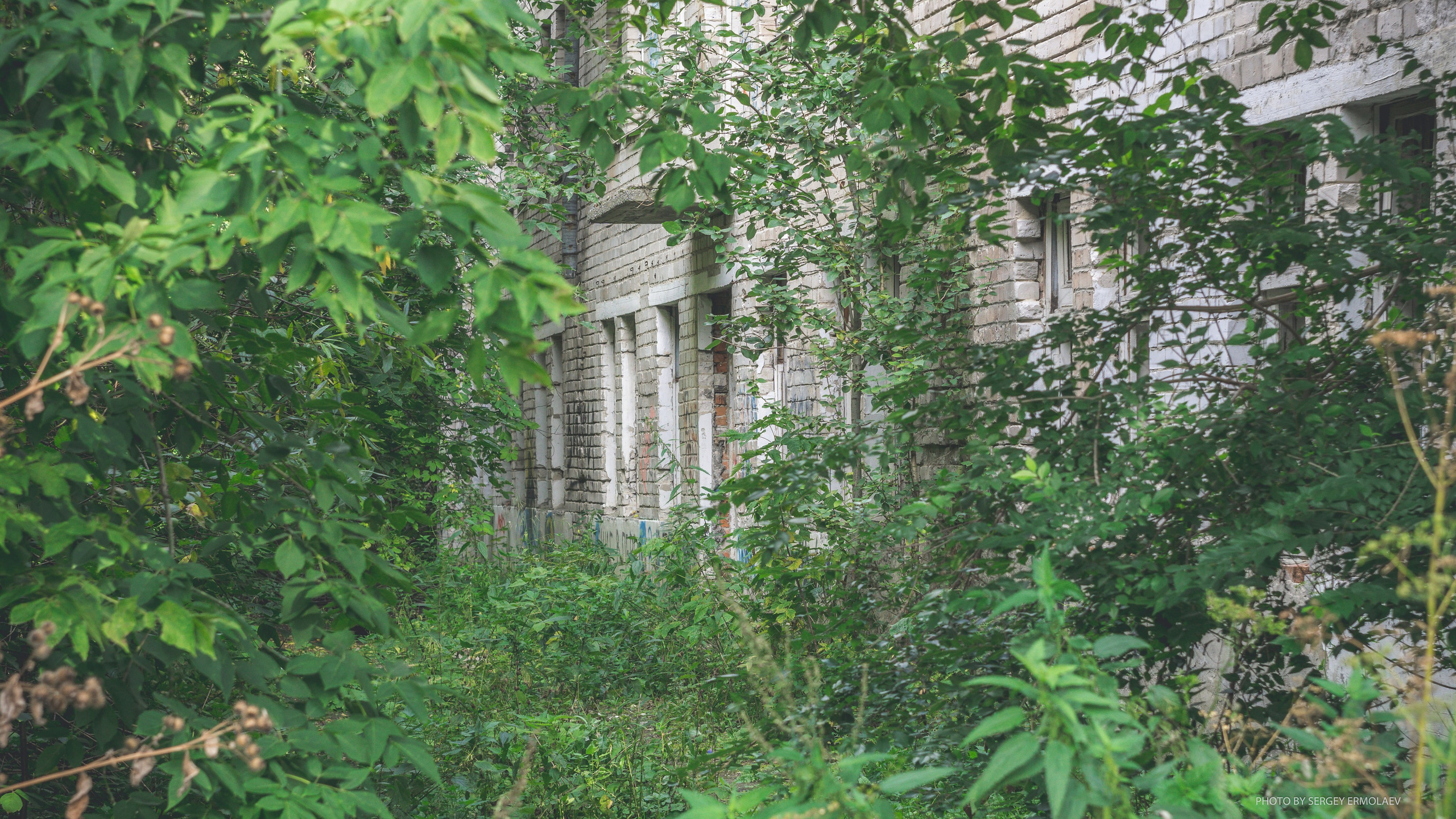 На тропах старинного парка