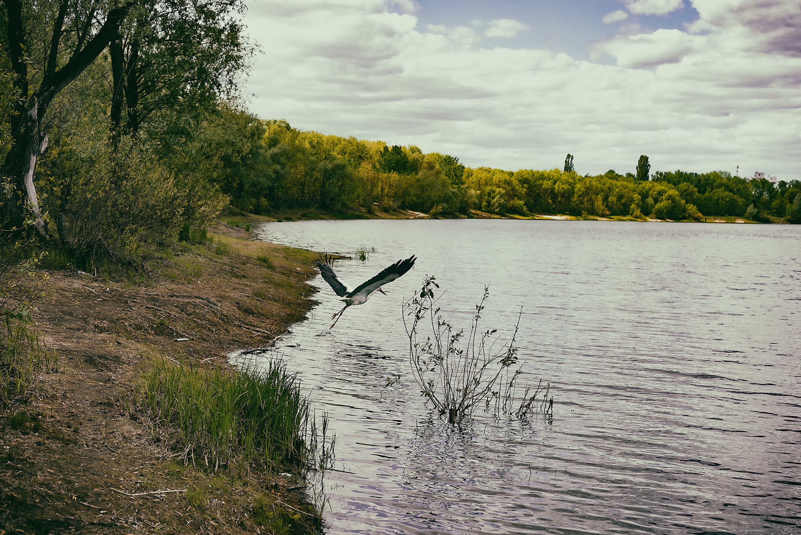 Фотосессия Аллы. Фотограф (photographer) Lischinski Vitaliy