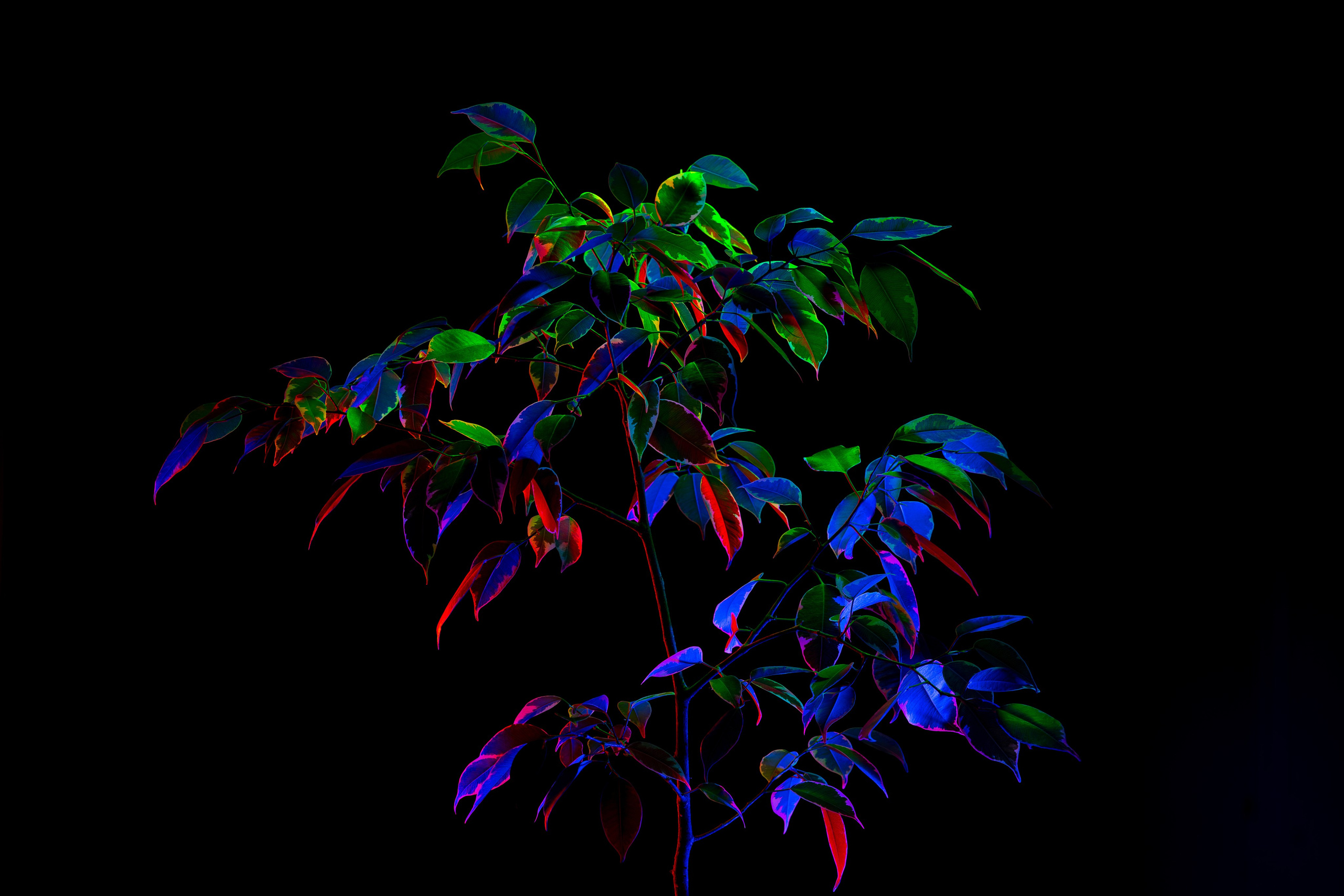 ПРЕДМЕТНАЯ. Никита Аничкин фото и видео оператор из России