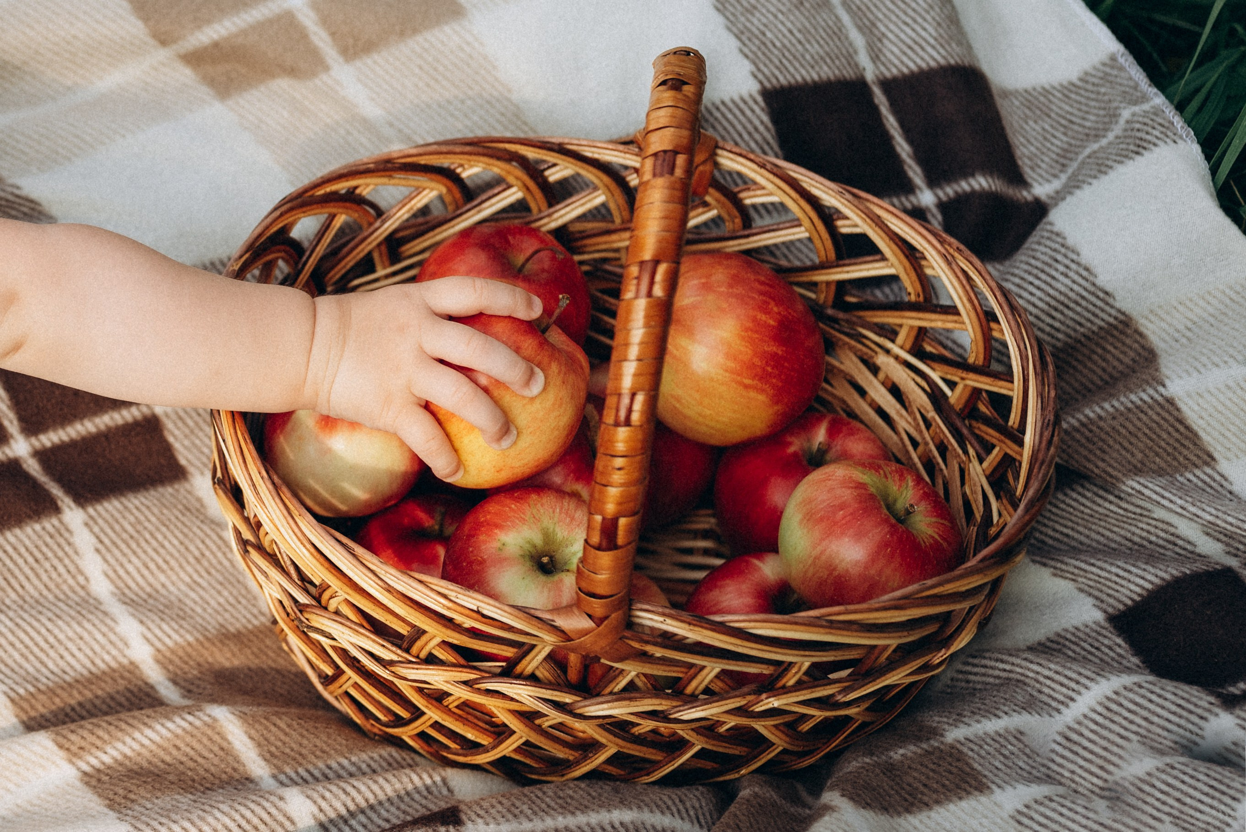 Семейная для Алеси. Семейный фотограф в Минске Дарья Дреко