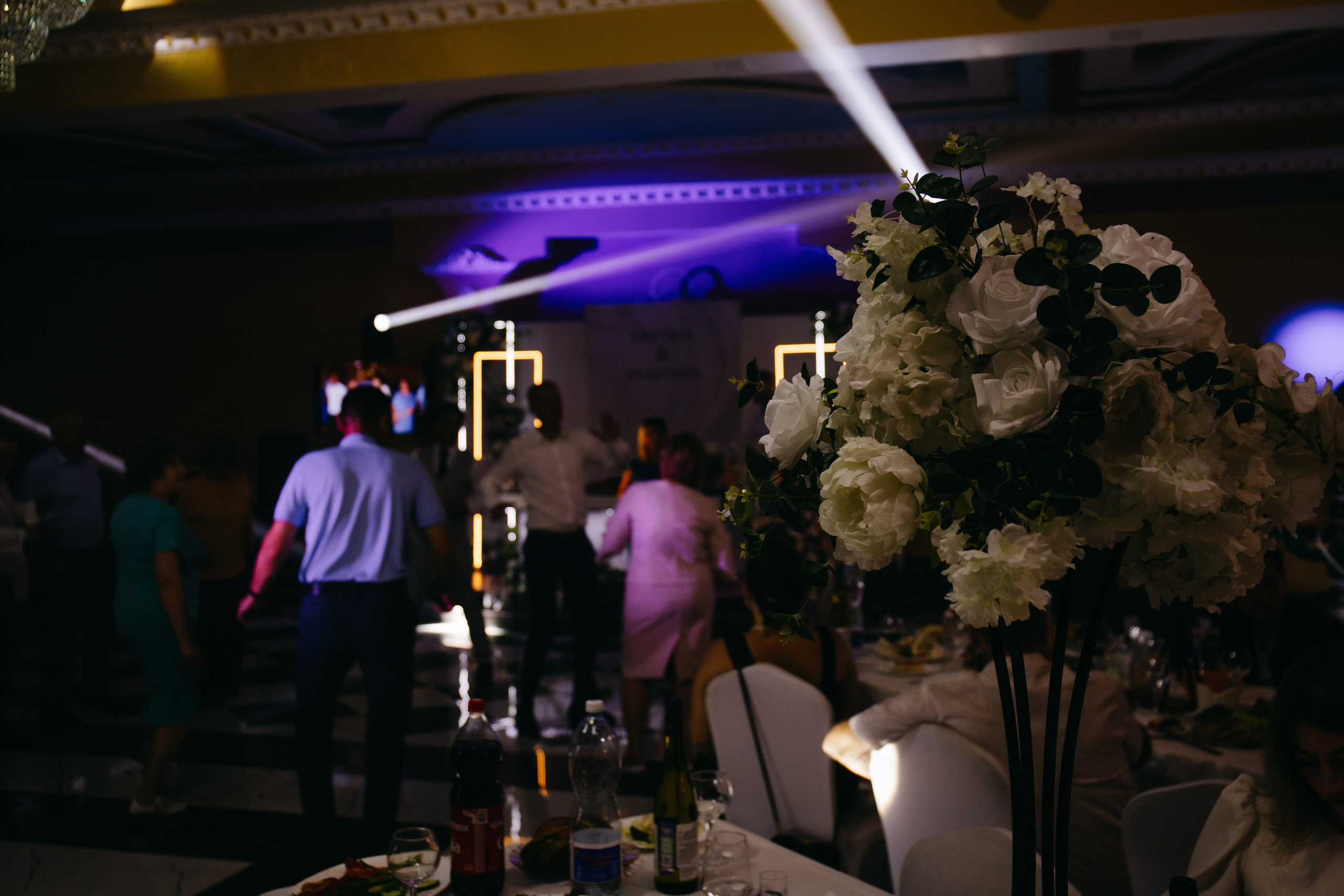 Дмитрий и Анастасия. Свадебный и женский фотограф