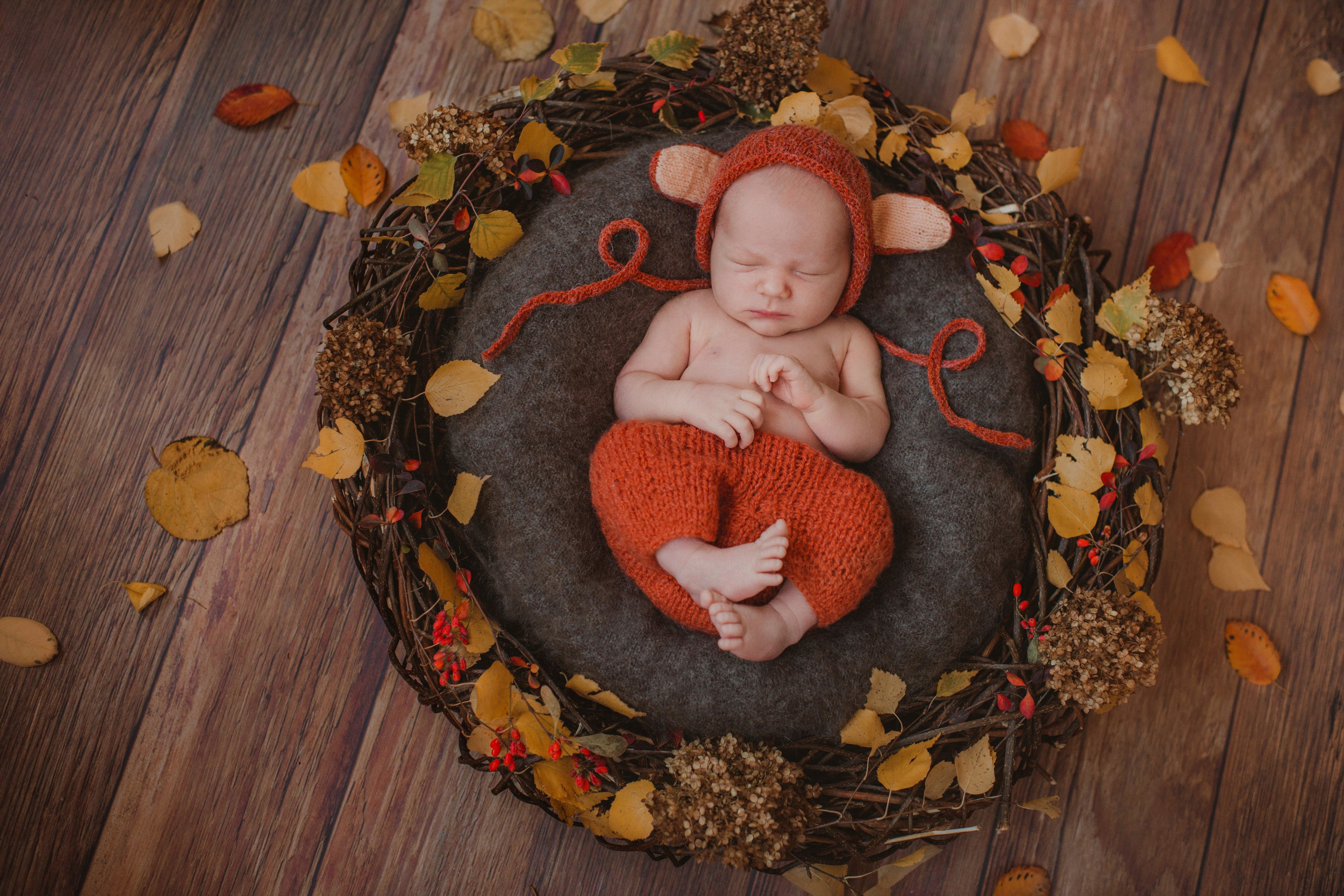 Младенцы. Семейный фотограф в Москве Полина Ситникова