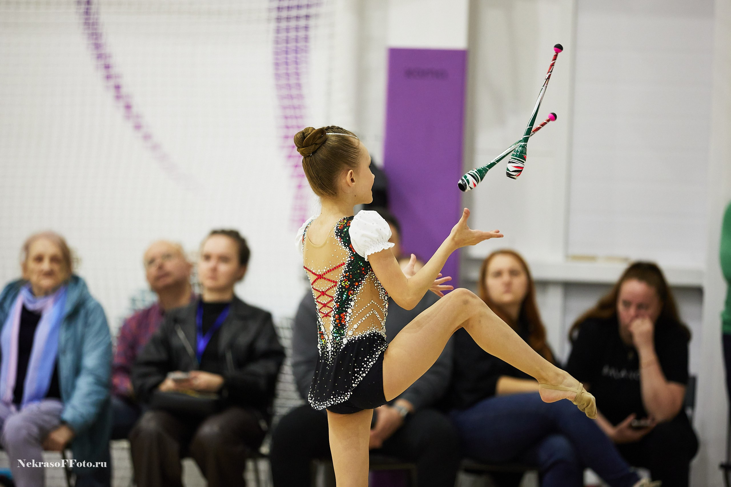 Художественная гимнастика. Спортивный фотограф Некрасов Денис
