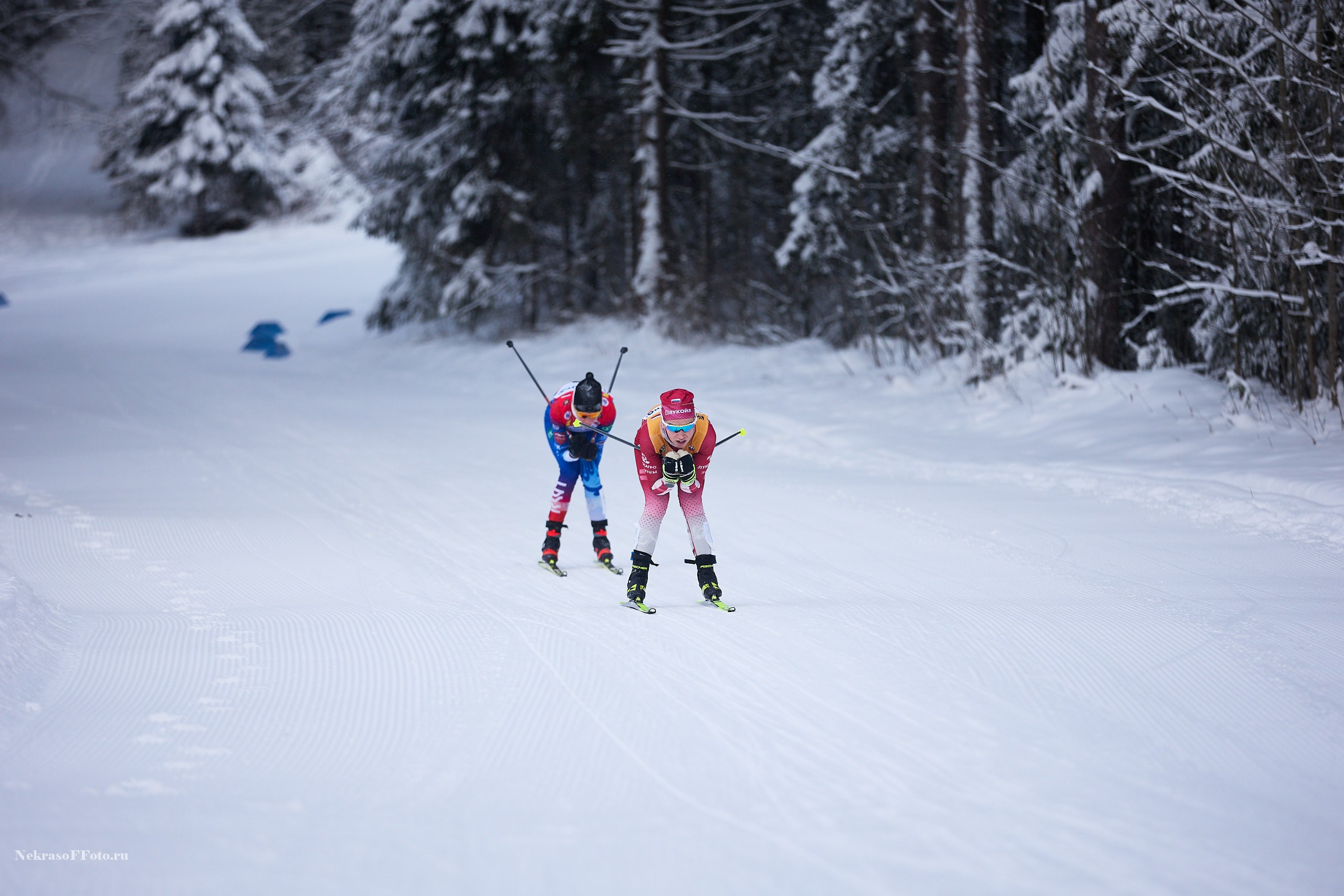 Кубок России по Лыжным гонкам. Спортивный фотограф Некрасов Денис
