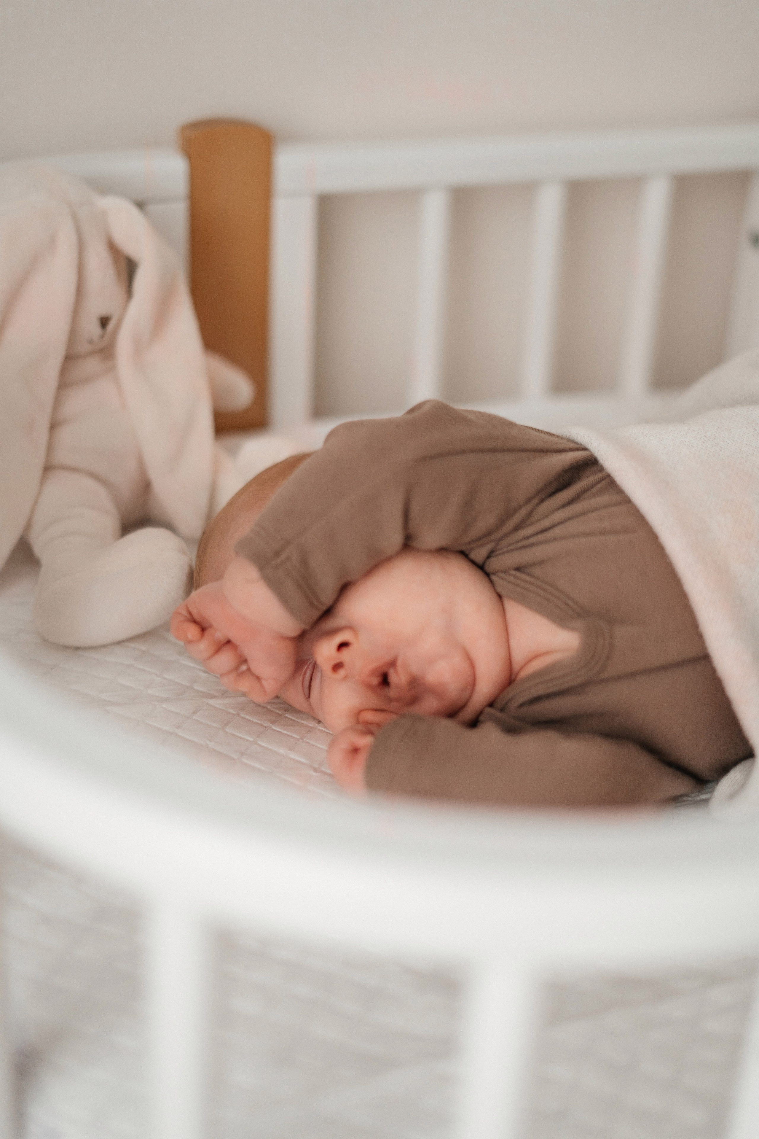 Первый Новый год. Главная