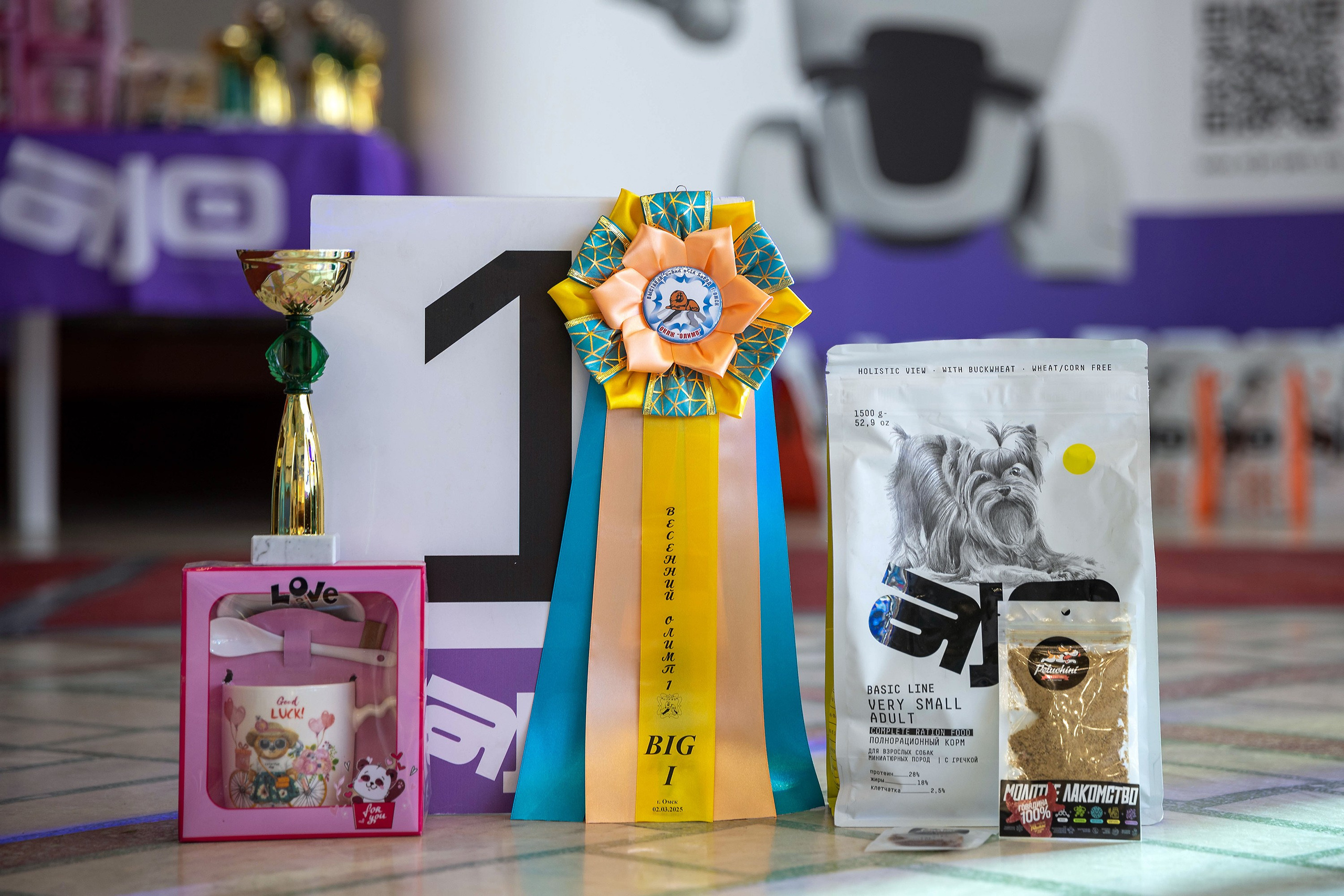 22.03.2026 Национальная выставка собак клуб «Олимп». Фотограф-анималист в Омске Екатерина Маричева