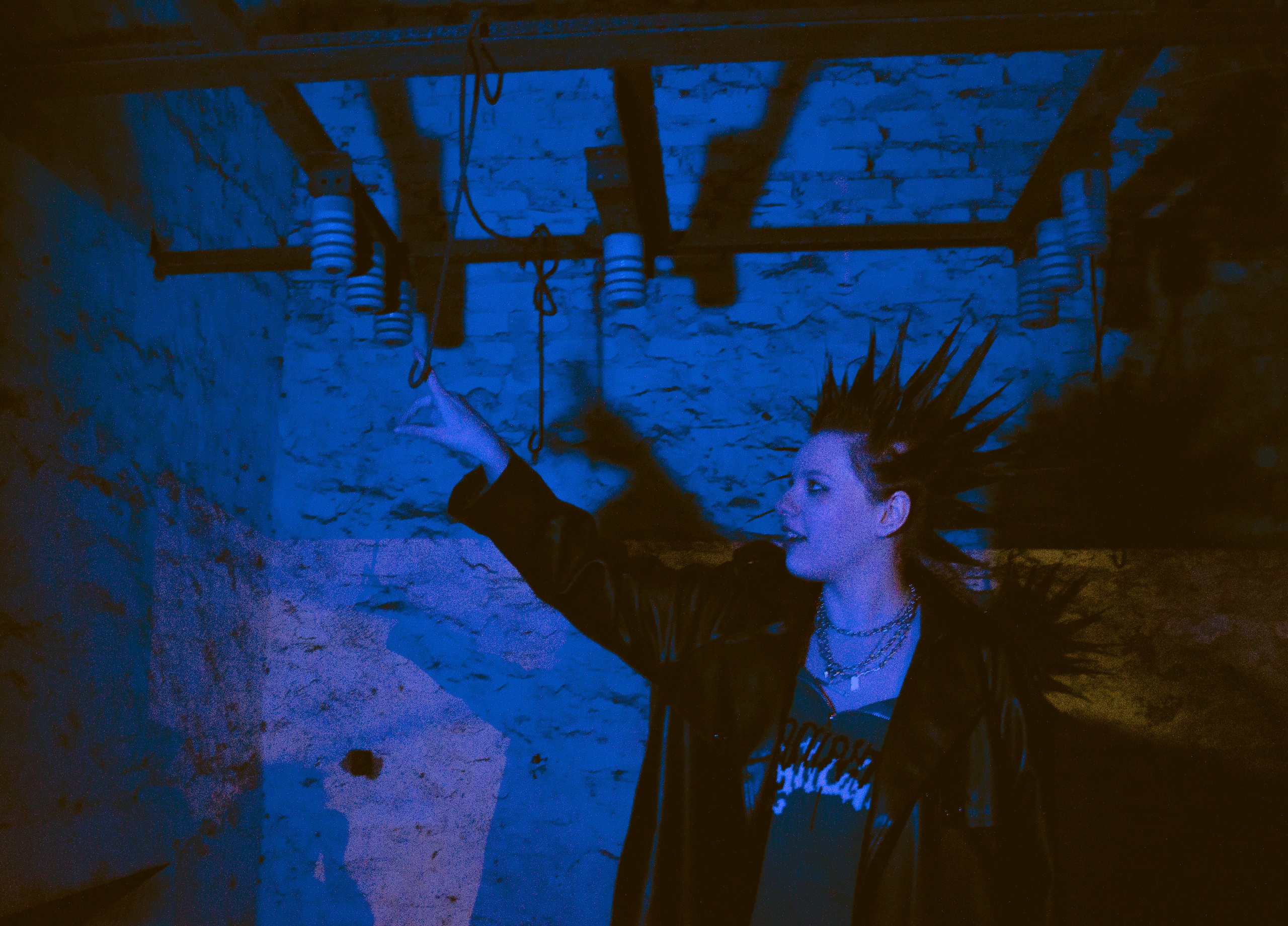 Гошок жив?. Костенко Анна pdie