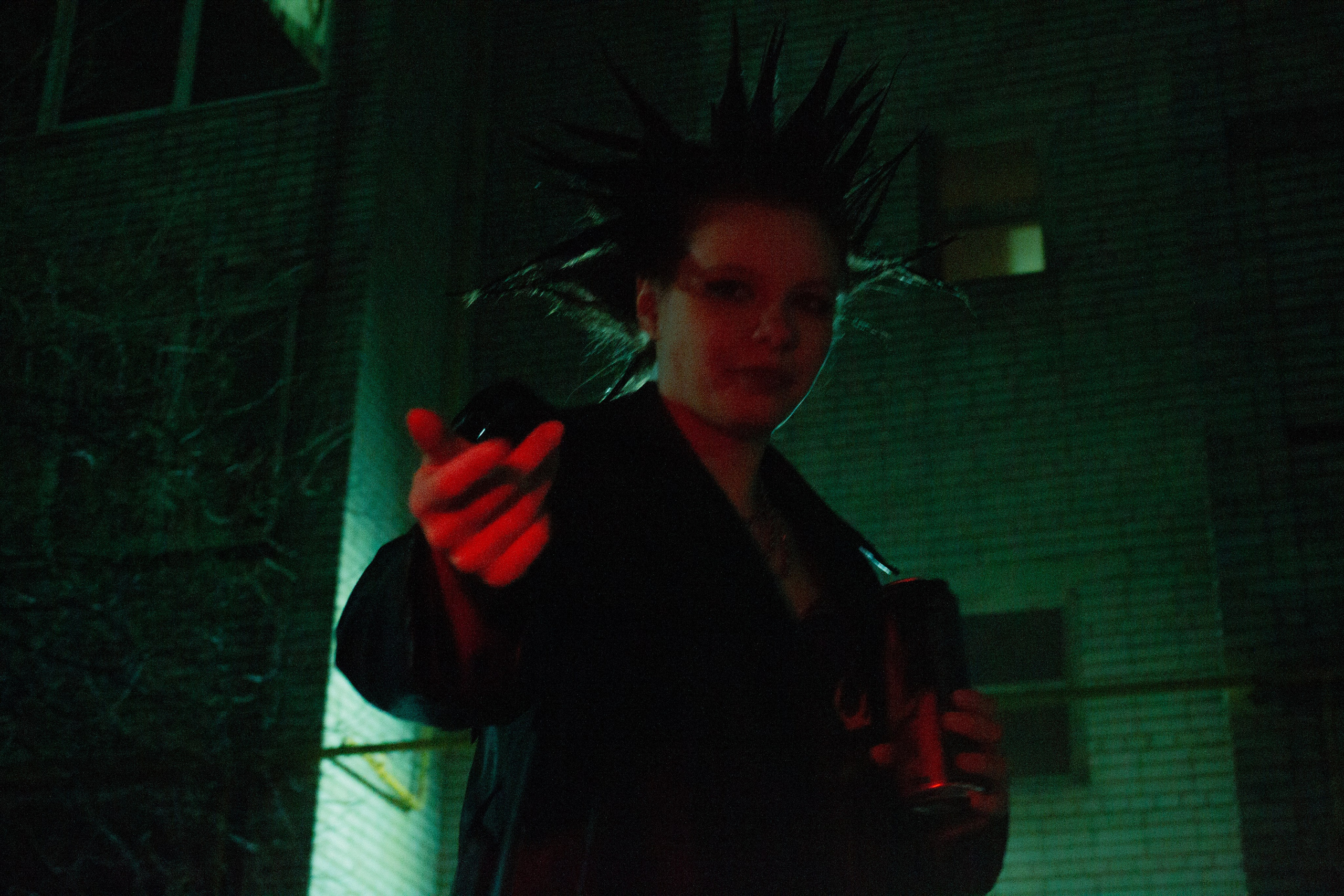 Гошок жив?. Костенко Анна pdie