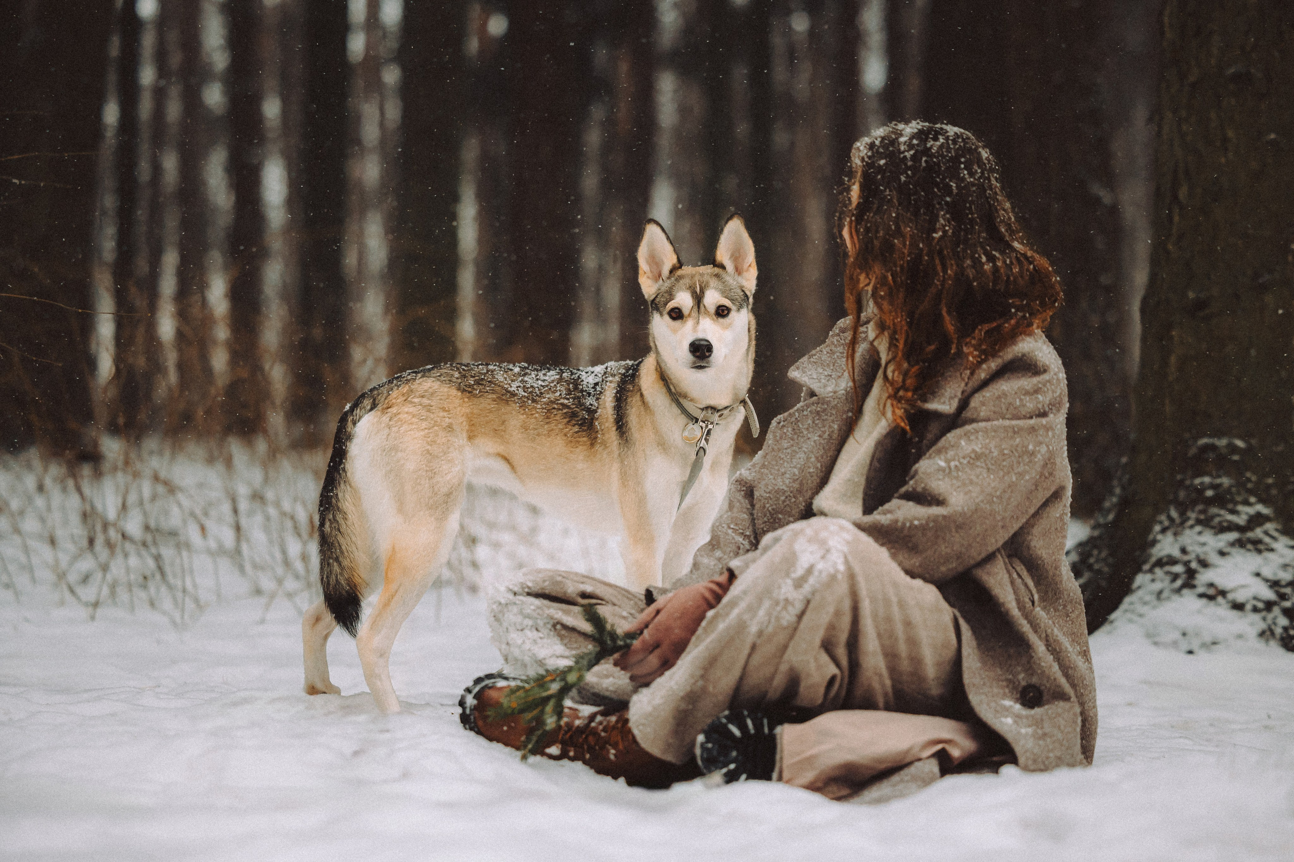 Аня и Рокси