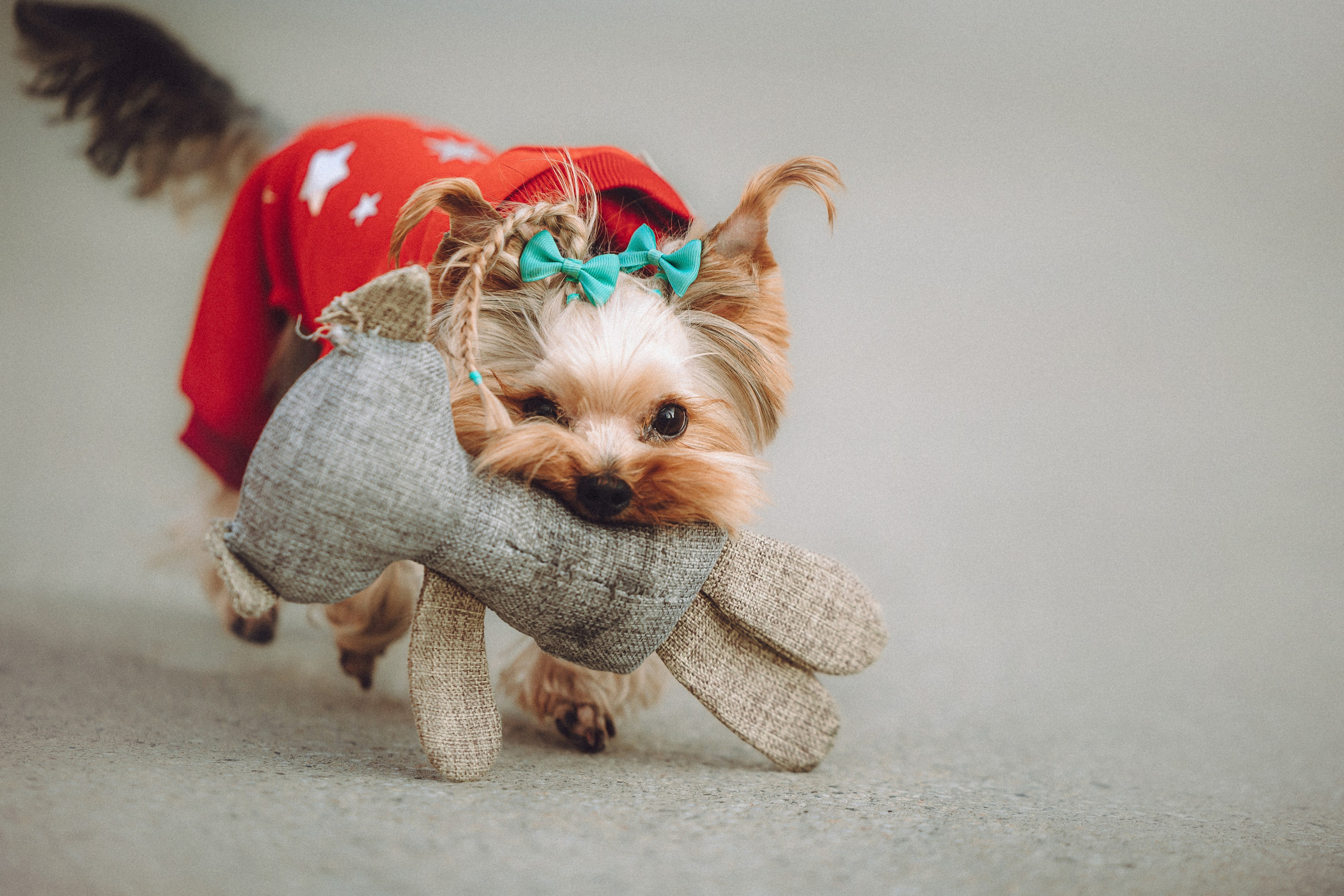 Дженни, Оливия и их семья