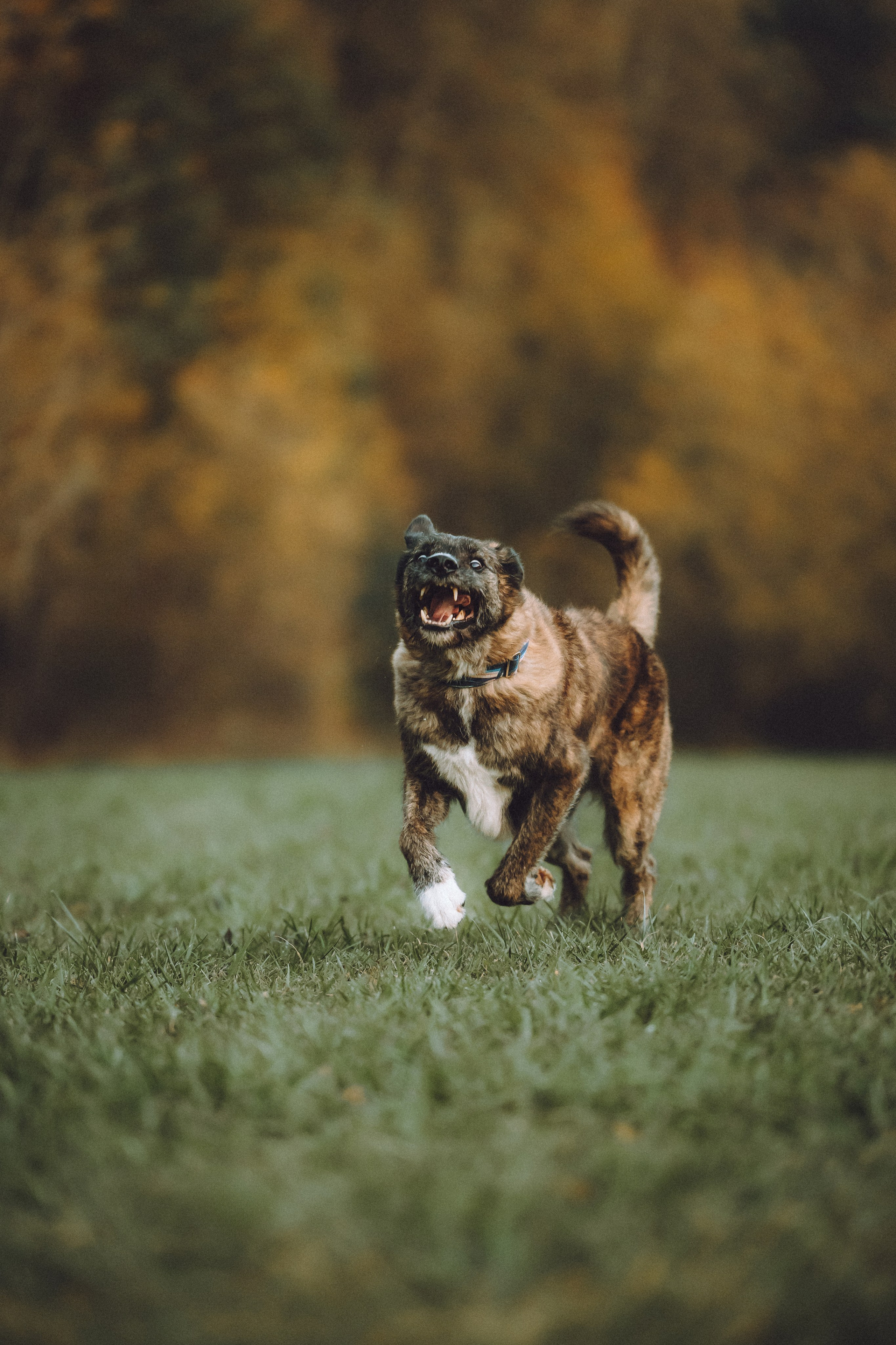 Рик, Джек и их семья