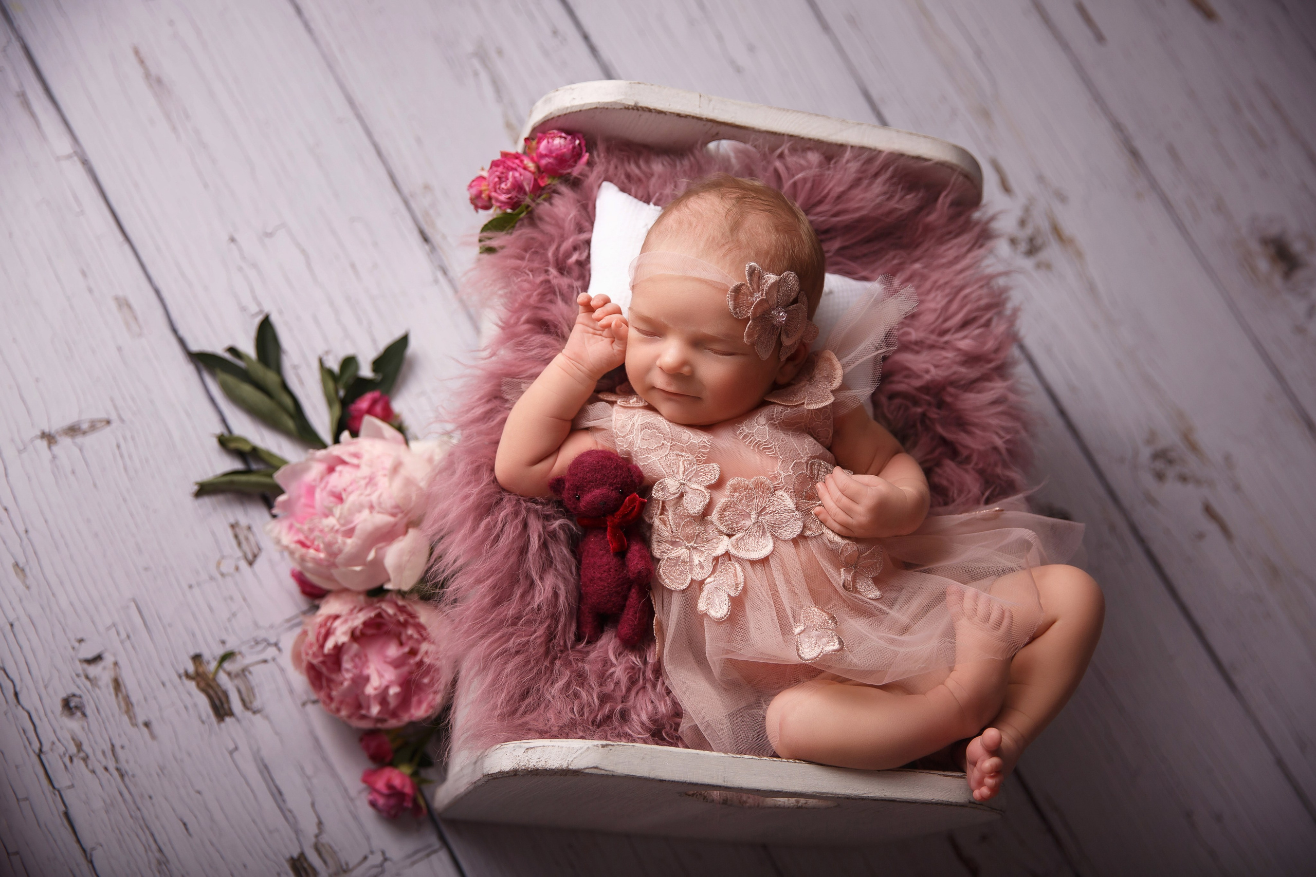 Bordo. Фотограф новорожденных, семейный фотограф в Санкт-Петербурге