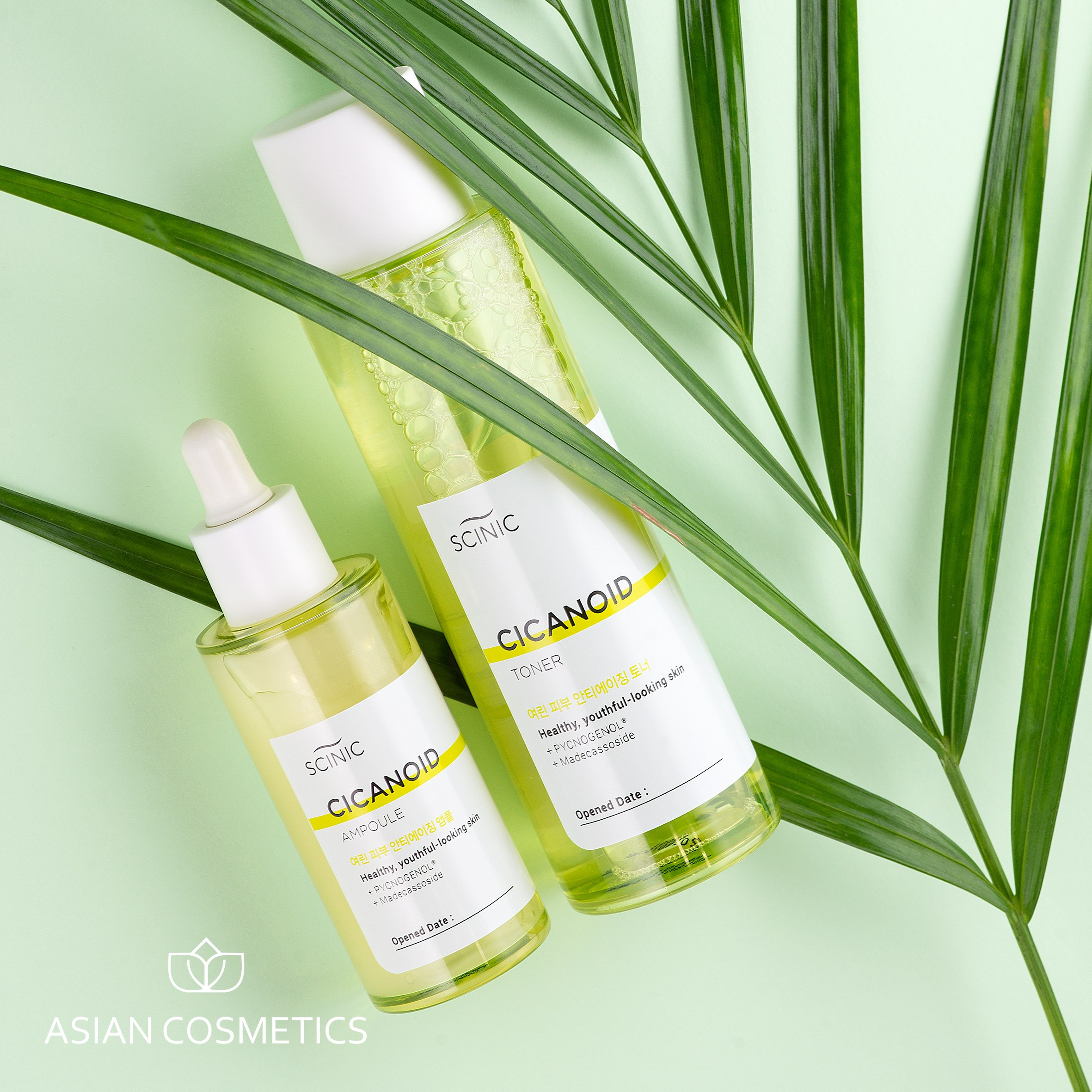 Флаконы с экстрактом центеллы на фоне листьев пальмы, свежая зелёная палитра