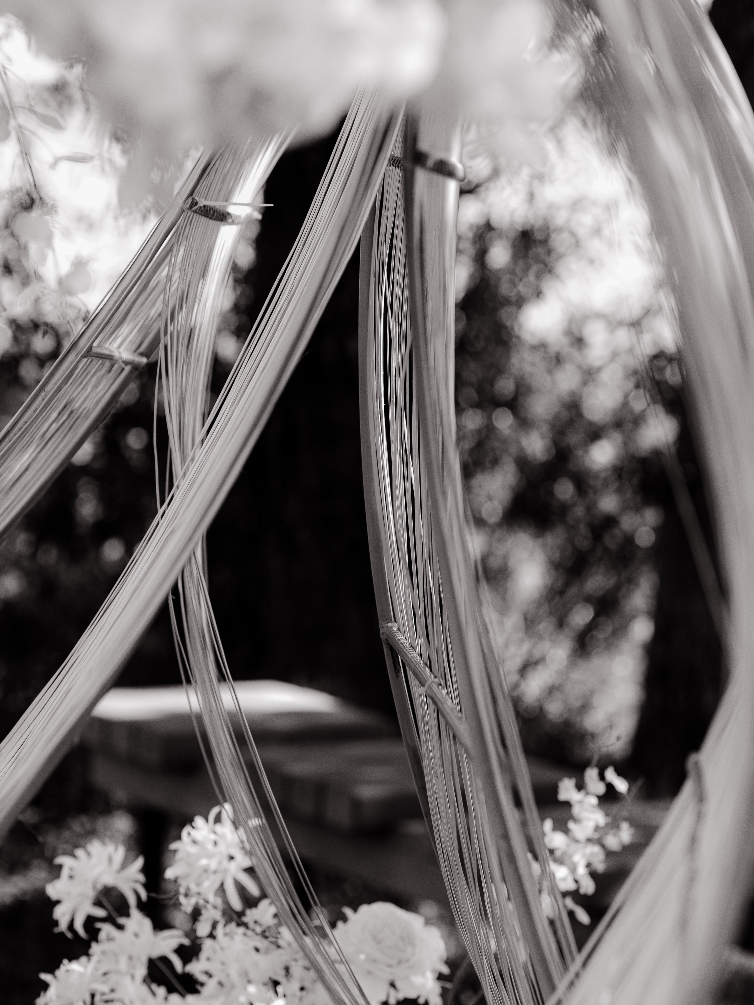 Полина & Герман. Фотограф Serj Ganso