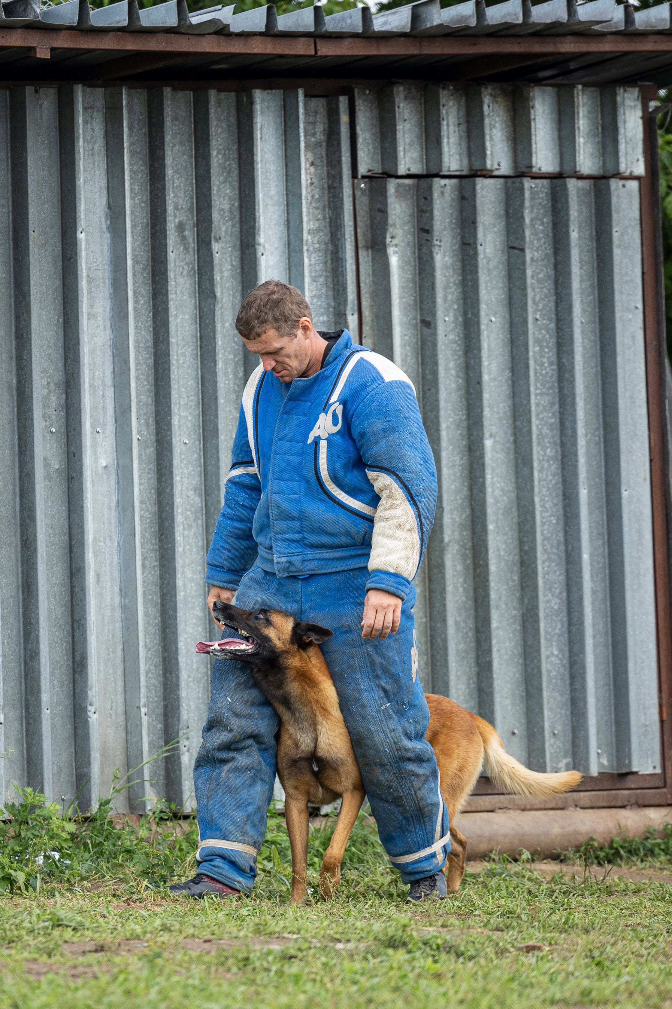 Соревнования по Мондьорингу г. Вологда 10-11.08.2024. Фотограф-анималист Анна Маринич