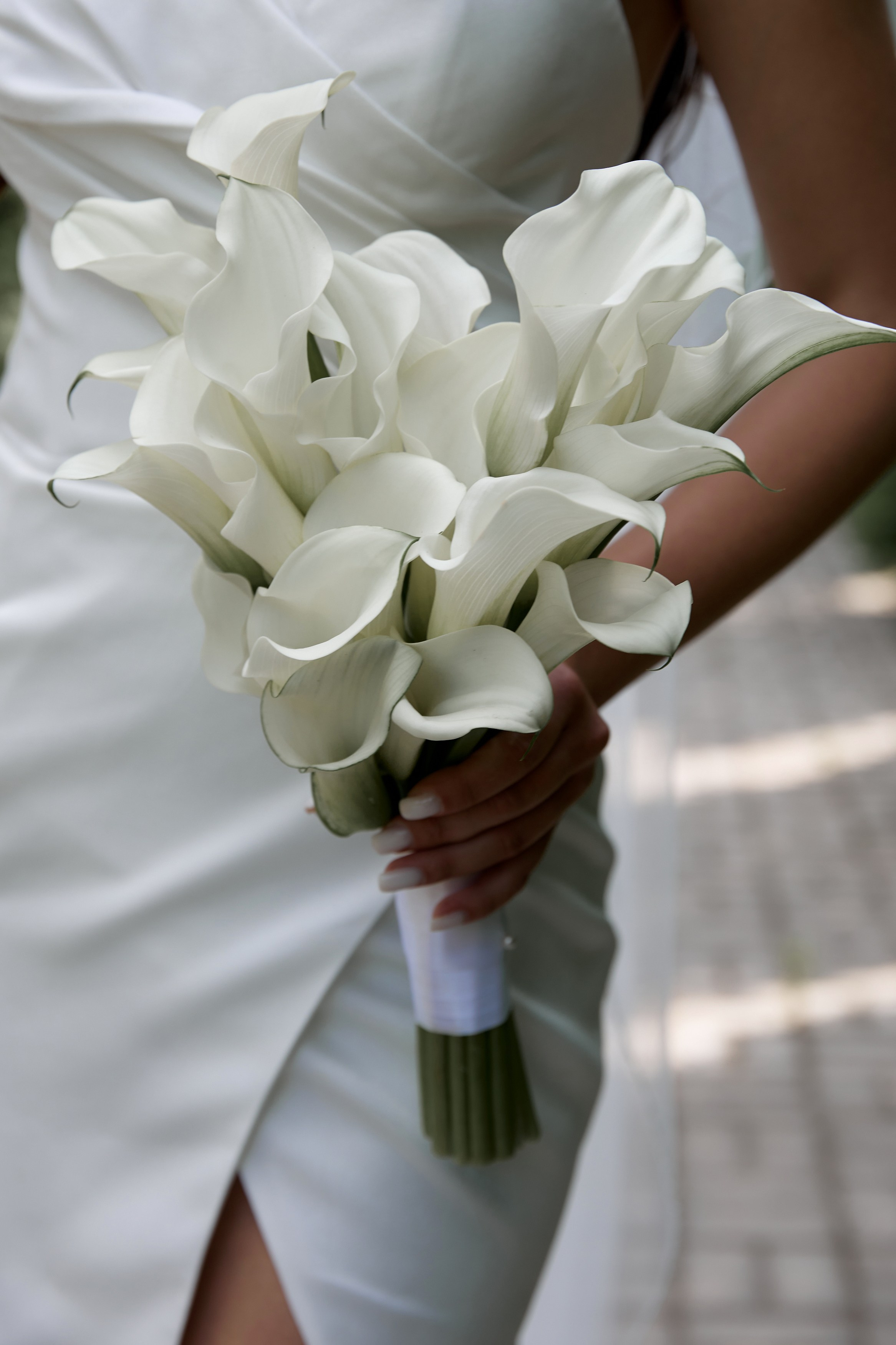 Алина и Владимир. Свадебный фотограф Москва Калуга