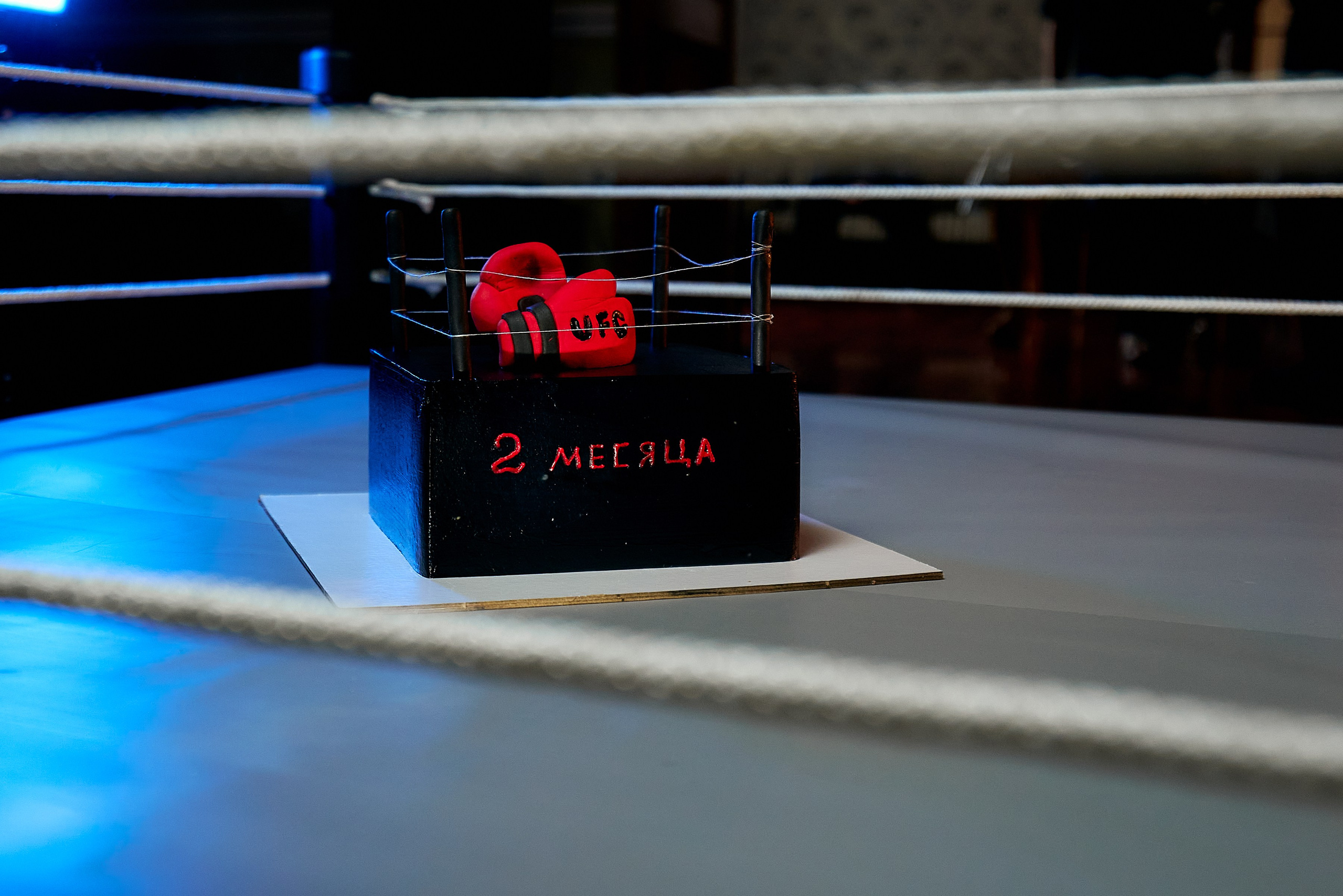 Детская, семейная фотография. Краснодар. Крым