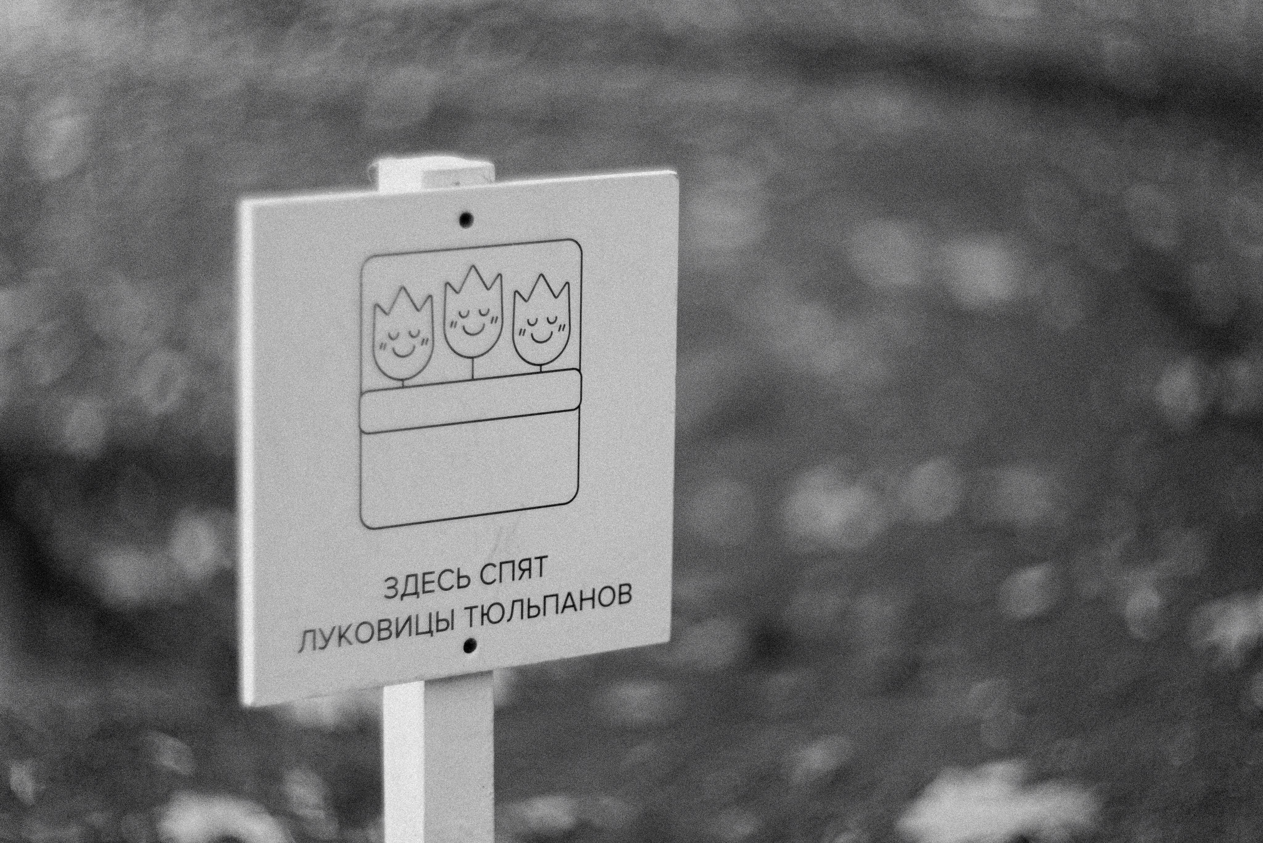 Autumn. Свадебный фотограф Санкт-Петербург DanyaPhotoart