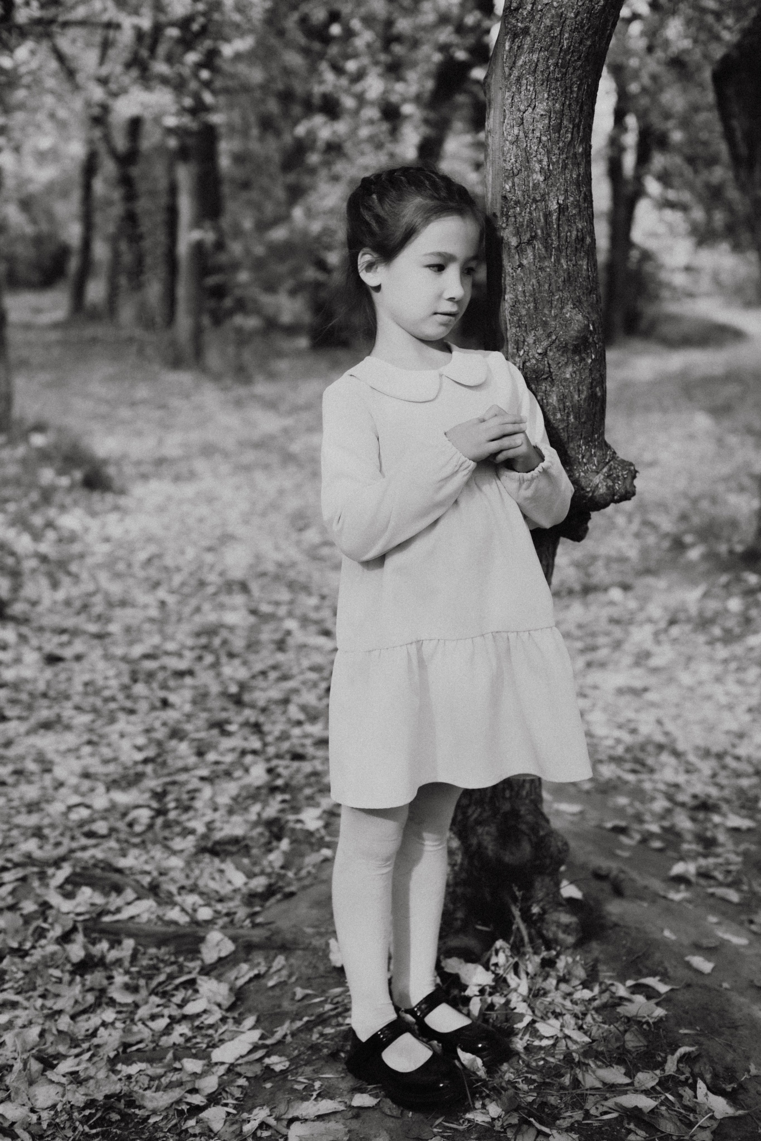 Земснаряд осенний. Фотограф в Нижнем Новгороде