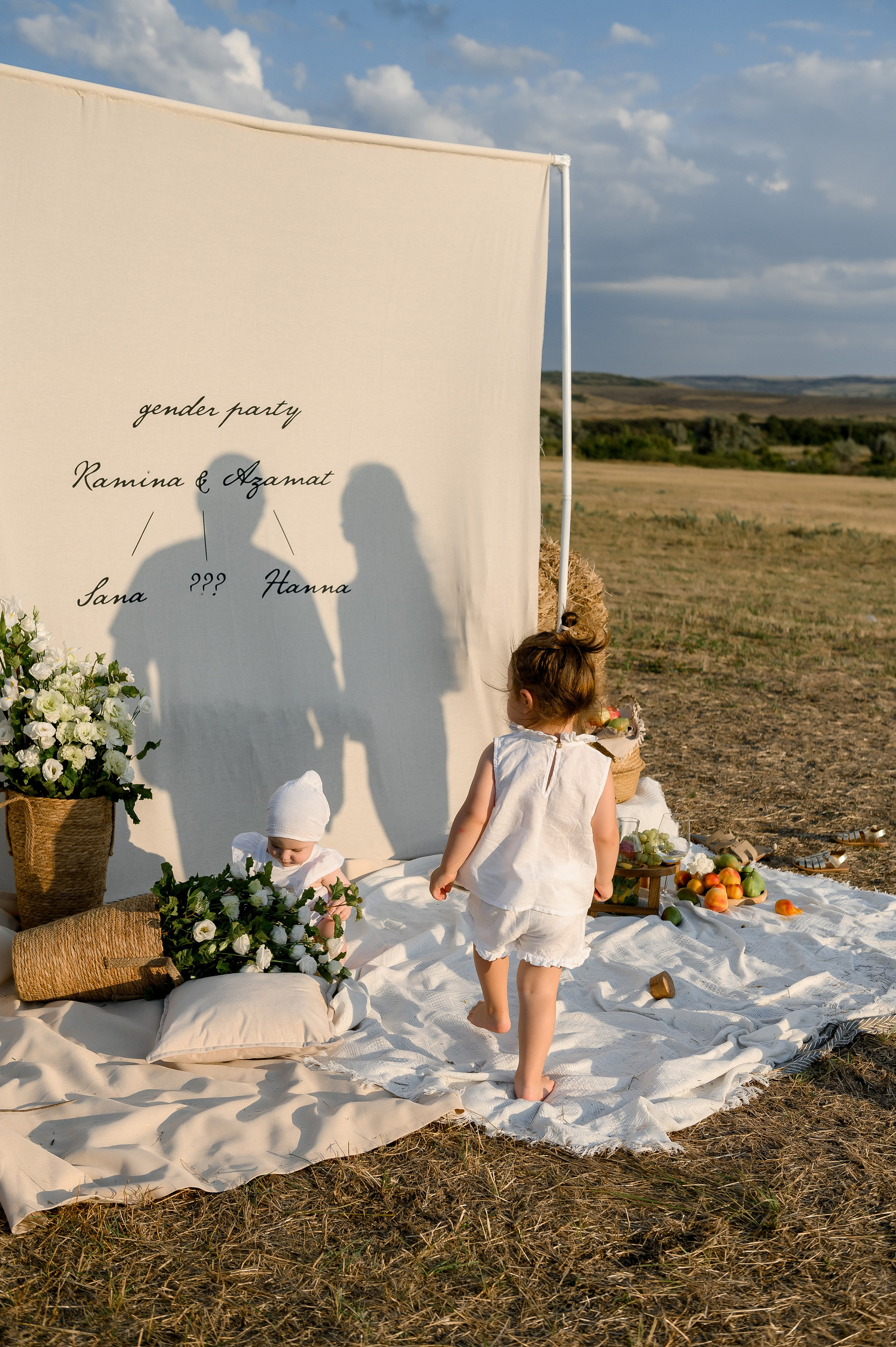 Гендер Пати за городом. Свадебный и семейный фотограф в Ставрополе Роман Иванов