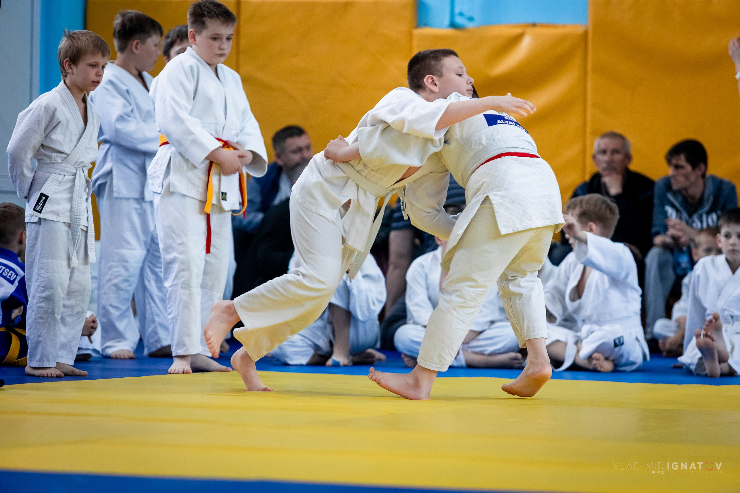 Городские соревнования по дзюдо посвященные 80-летию Победы в ВОВ. Репортажный фотограф в Барнауле Владимир Игнатов