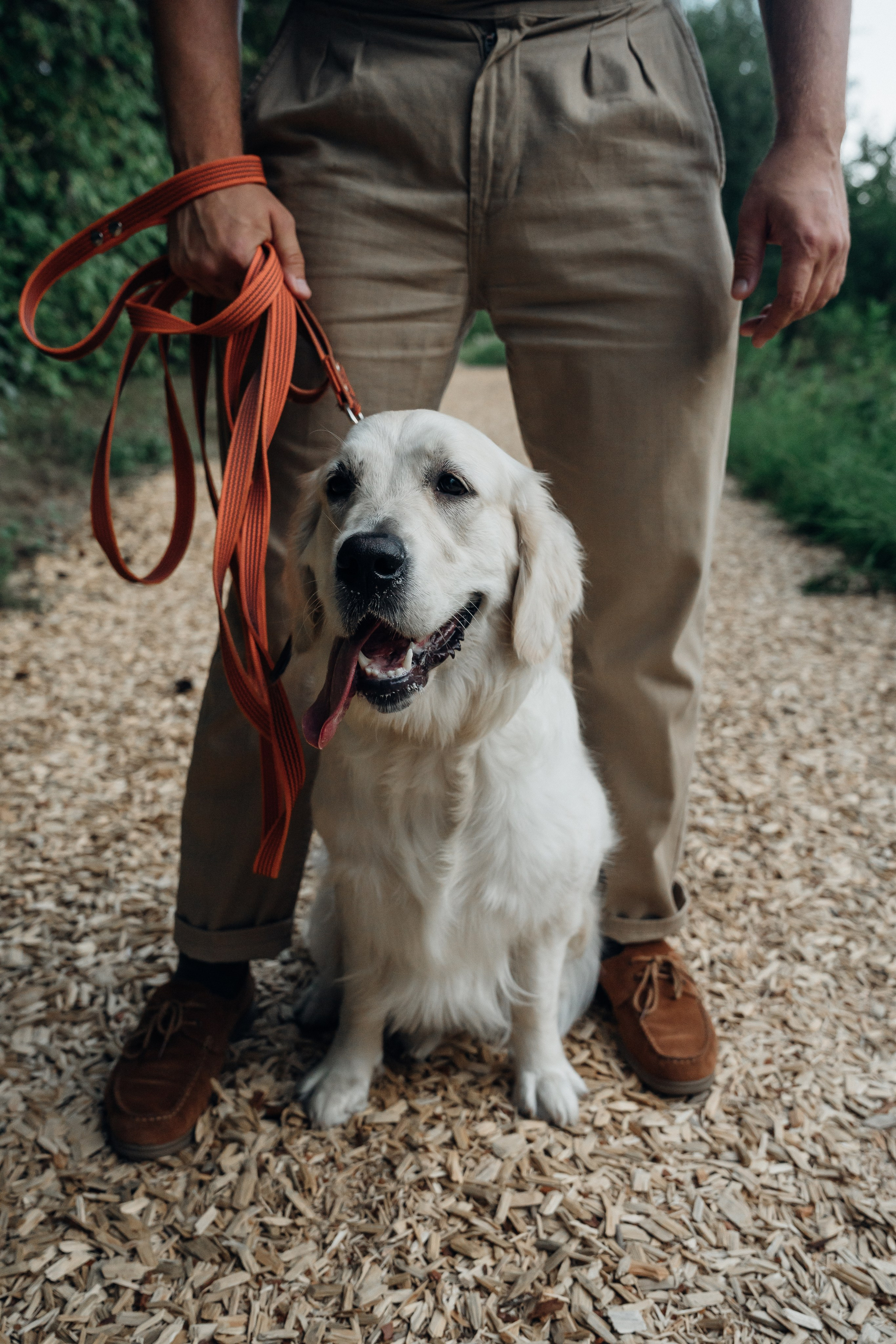 Светлана и Джесси. Фотограф и видеограф в Тюмени Екатерина Чернецкая