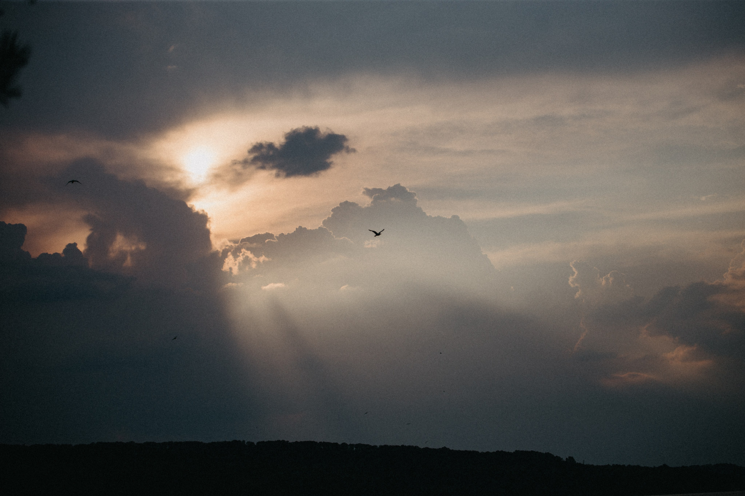 Карусель поцелуев. Семейный фотограф в Белгороде