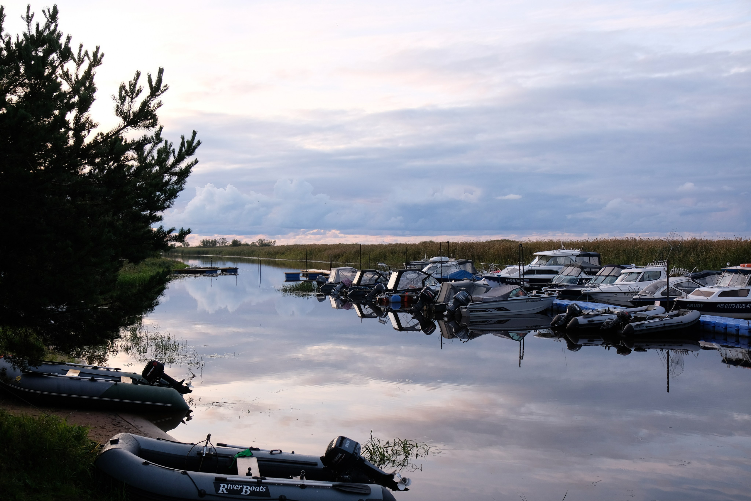 МедиаДача ЛО