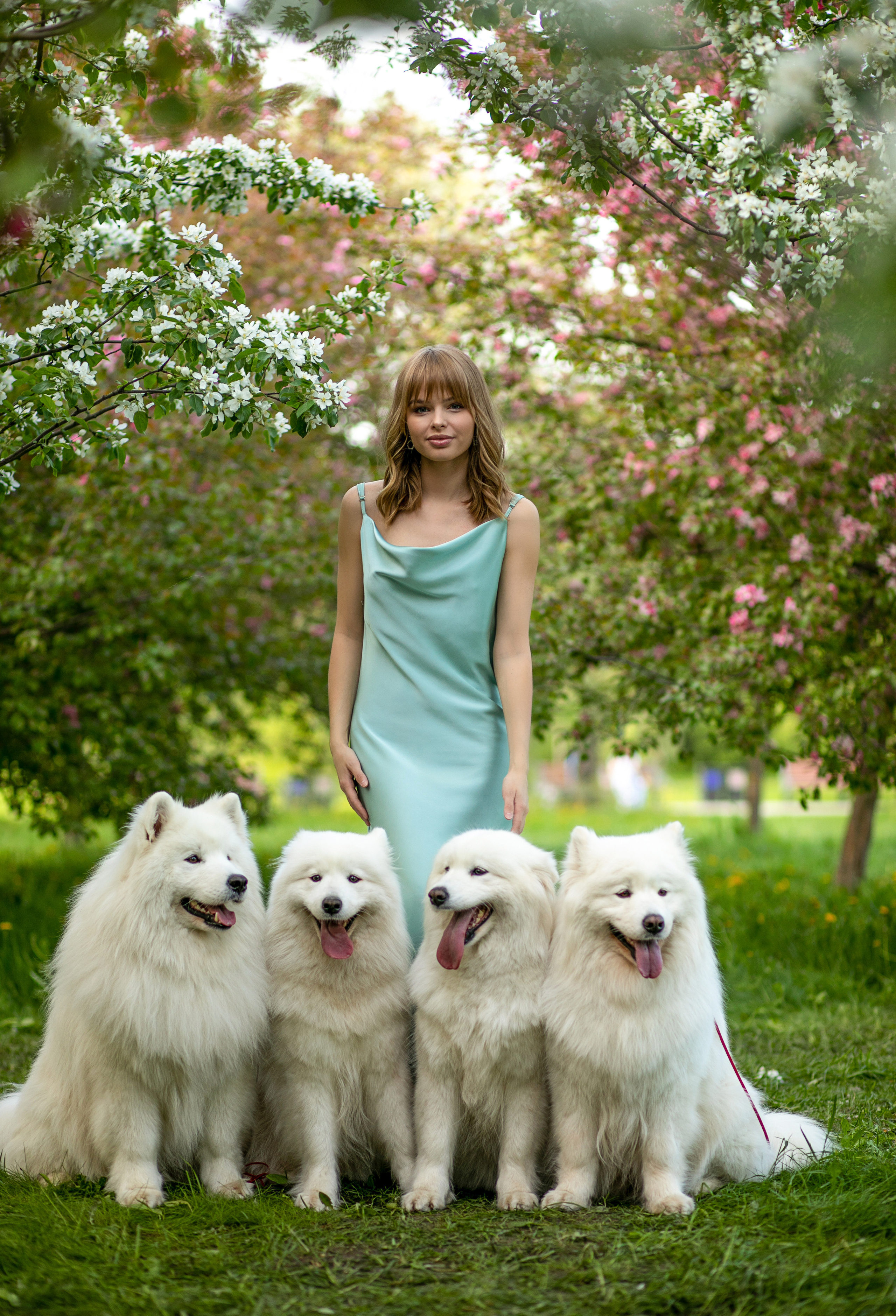 Фотосессия весна — в яблонях Александра. Семейный и контент фотограф в Москве Alira