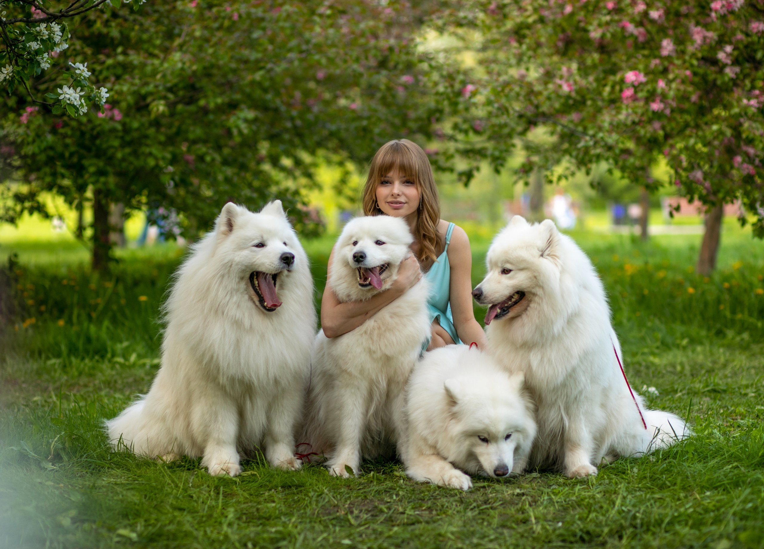 Фотосессия весна — в яблонях Александра. Семейный и контент фотограф в Москве Alira