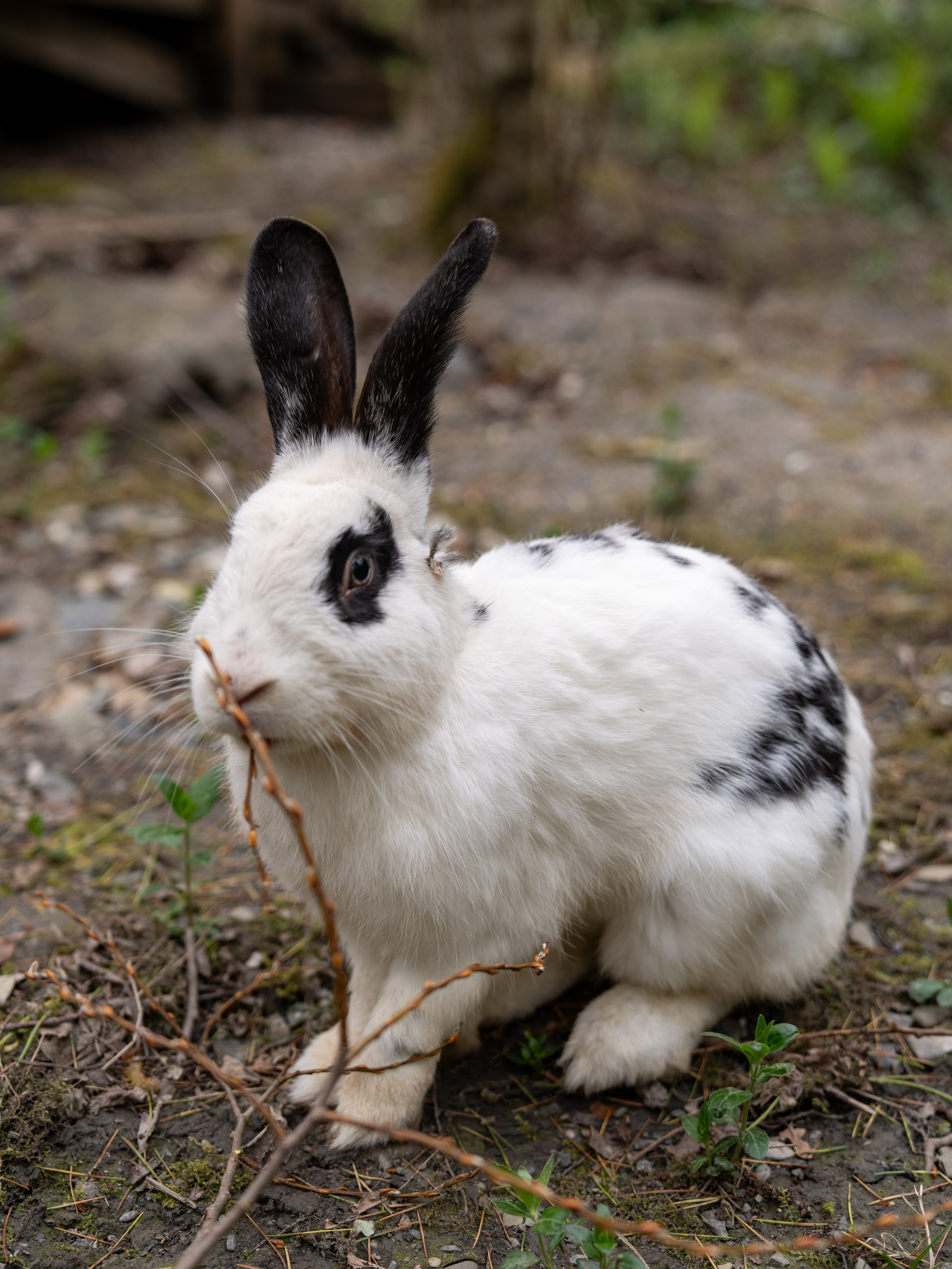 MICE мероприятие — джиппинг на каньон Псахо. Репортажный фотограф в Красной Поляне и Сочи Павлюченко Екатерина