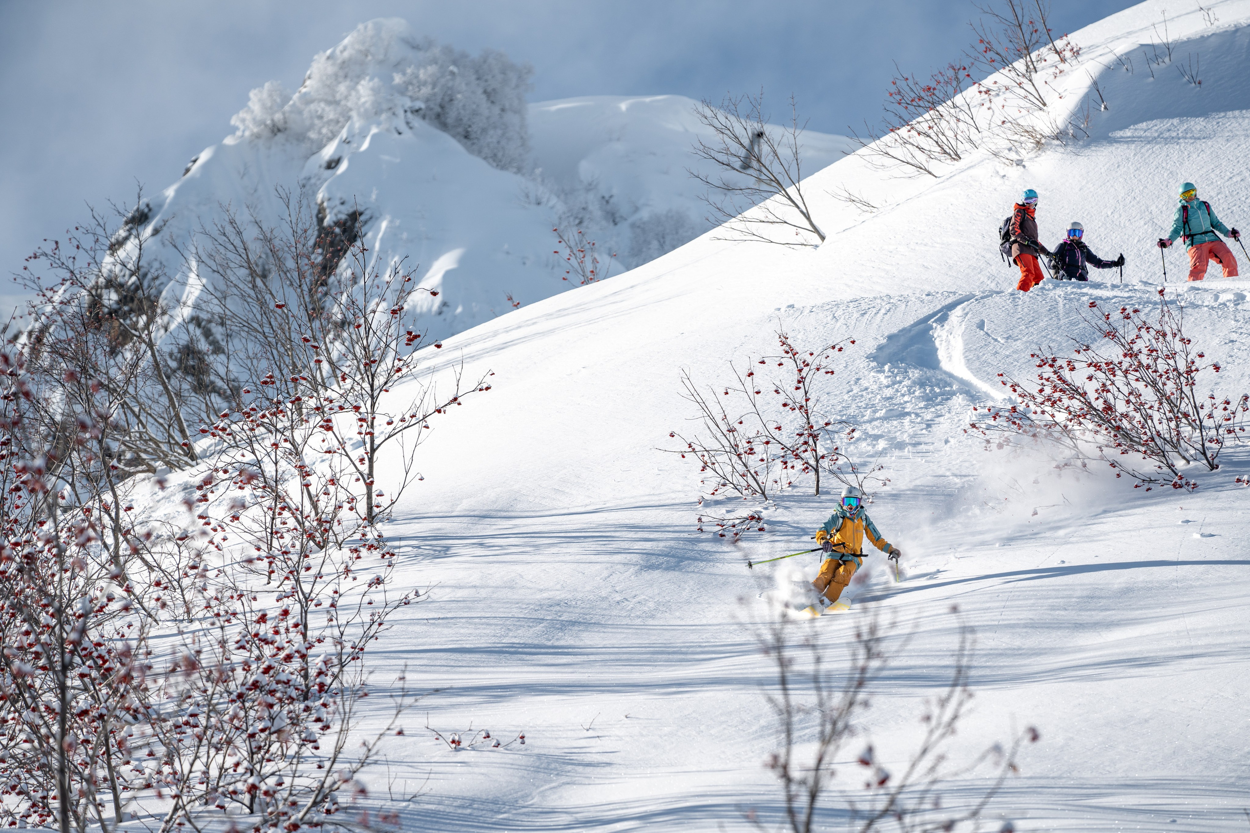 Внетрассовое катание в рамках фрирайд кэмпа с Еленой Ануфриковой. Репортажный фотограф в Красной Поляне и Сочи Павлюченко Екатерина