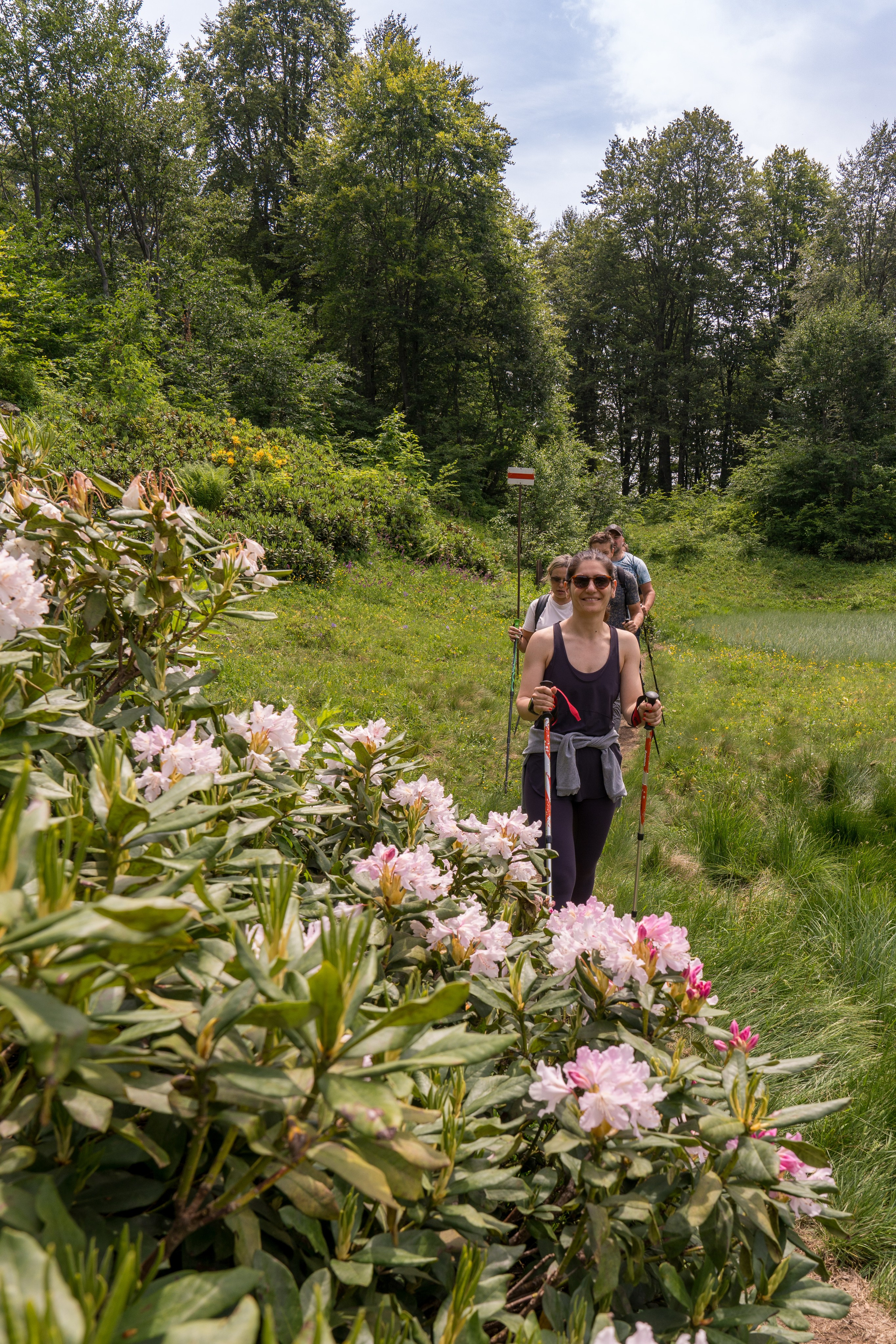 MICE мероприятие для компании «Доставка морем»: хайкинг к Ачипсинским водопадам. Репортажный фотограф в Красной Поляне и Сочи Павлюченко Екатерина